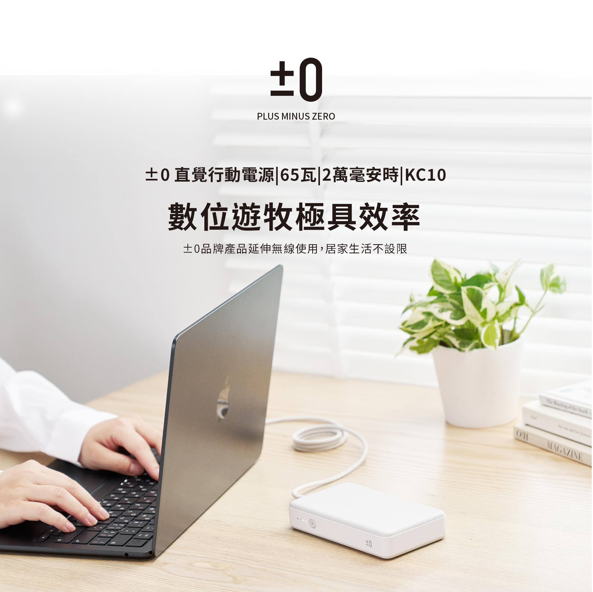 直覺行動電源 (1)