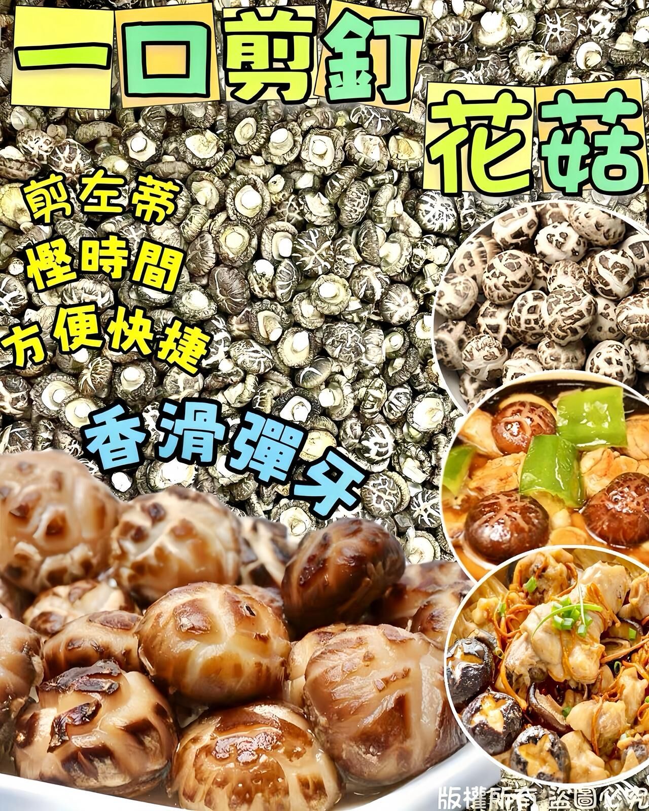 一口剪釘花菇 -2502055