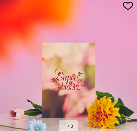 [代購][預訂] ES Starry Symphony - Superbloom - 官方小冊子