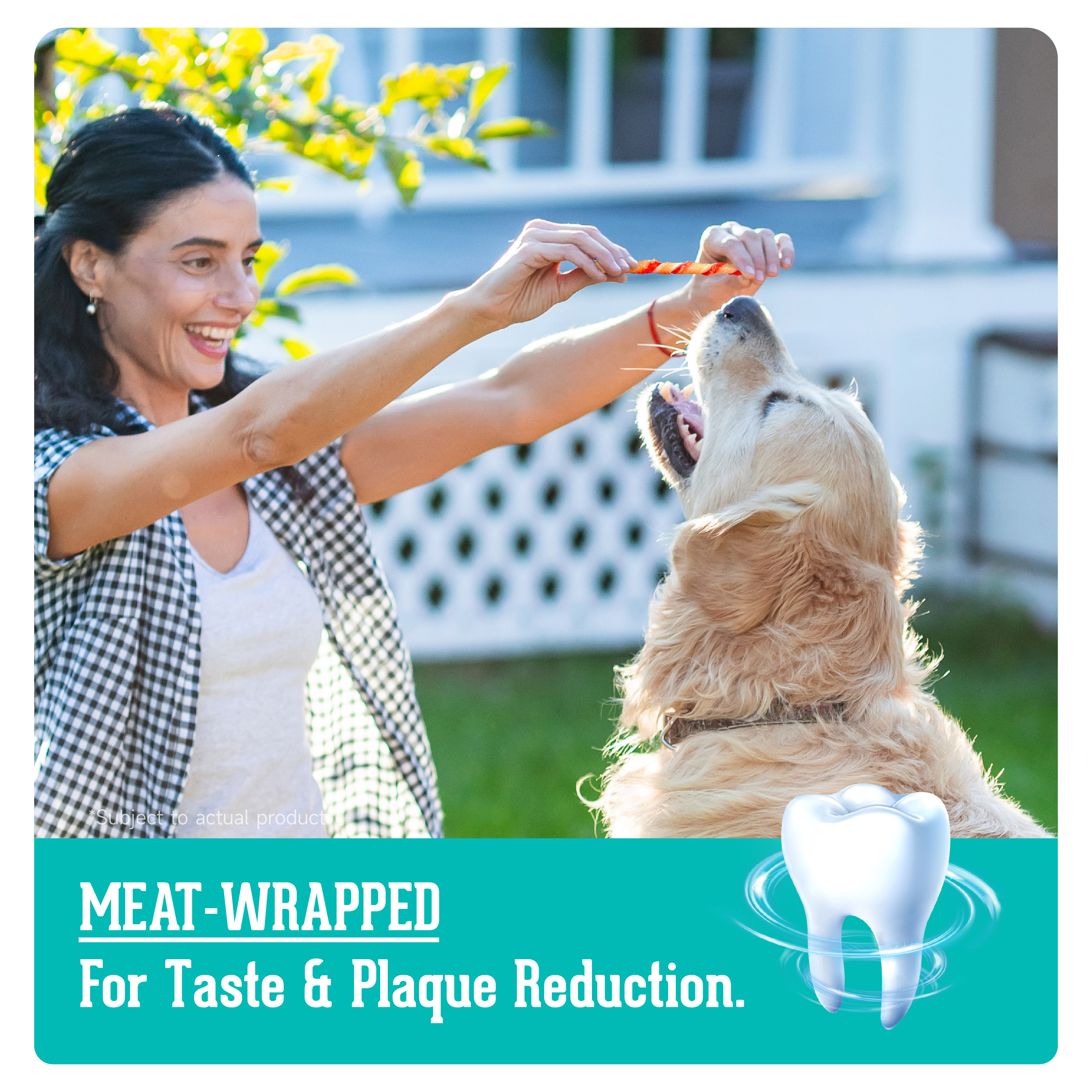 PNR91142 - 鴨肉咀嚼棒 (70g) 輕便狗小食