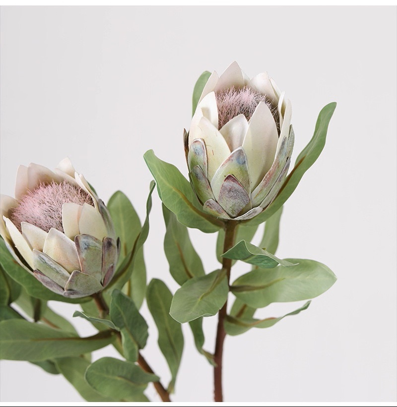 仿真小菠蘿 (帝王花)