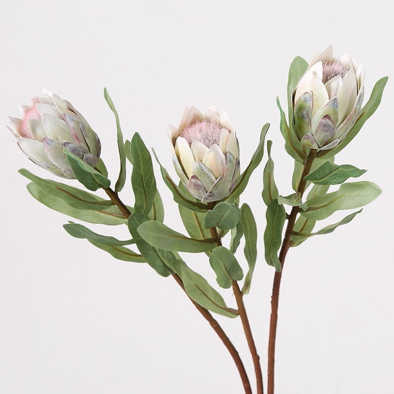 仿真小菠蘿 (帝王花)