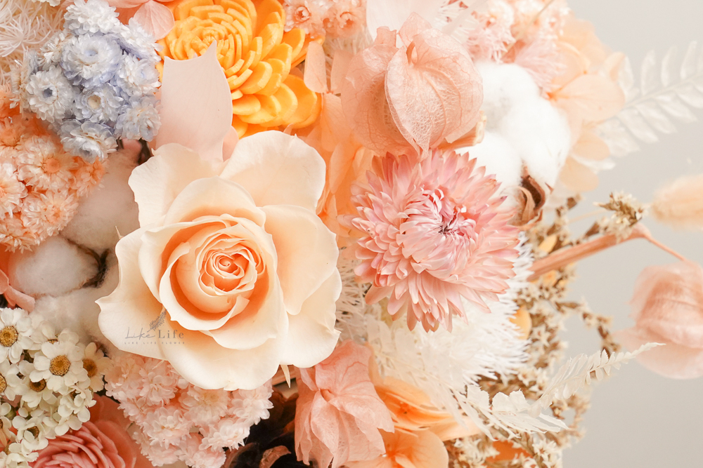 橘色永生花盆花,橘色永生花作品,橘色永生花台北代客送花推薦,永生花開幕盆花4