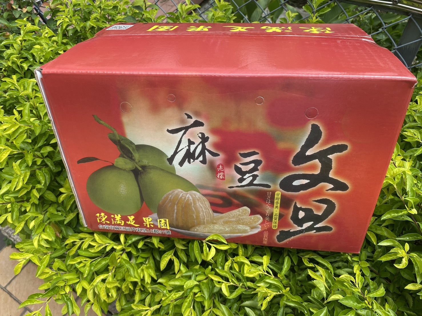預購【09月15日(二)陸續到貨】中秋特輯💮台南老欉麻豆文旦【10斤裝/9顆禮盒裝】兩種尺寸任選(含箱重)