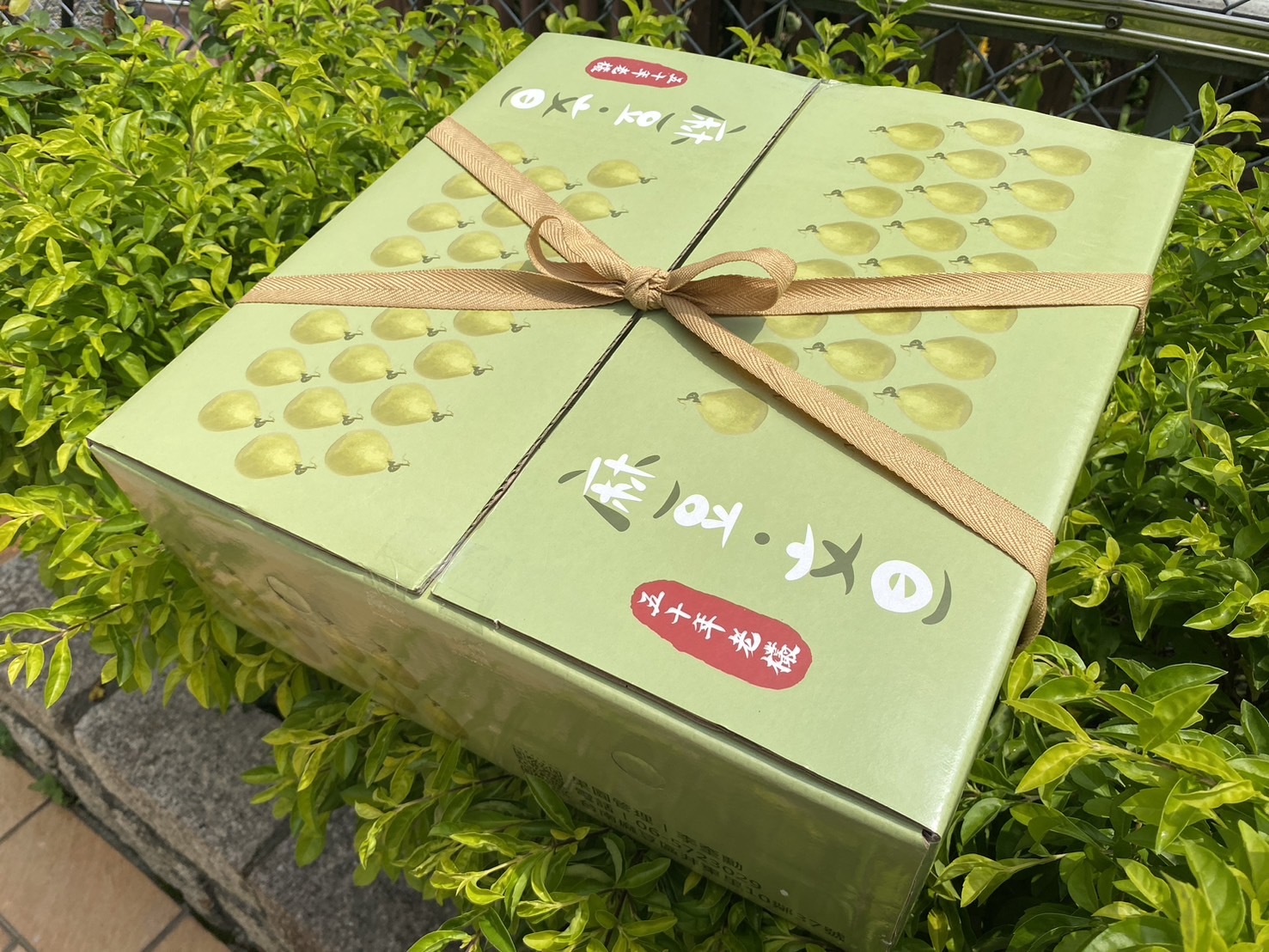 預購【09月15日(二)陸續到貨】中秋特輯💮台南老欉麻豆文旦【10斤裝/9顆禮盒裝】兩種尺寸任選(含箱重)