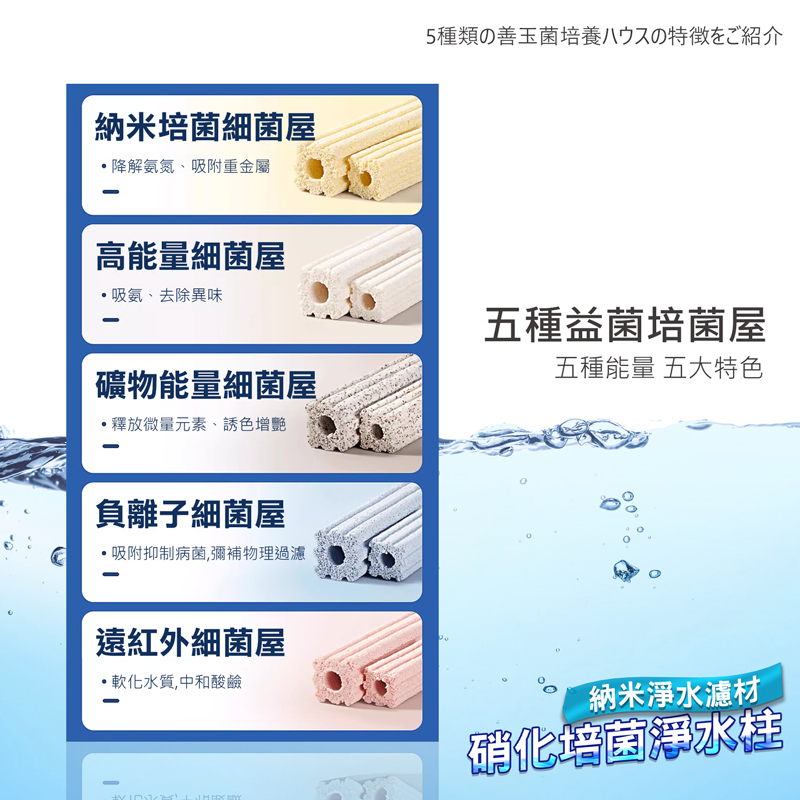 五種益菌培菌屋,五種能量五大特色