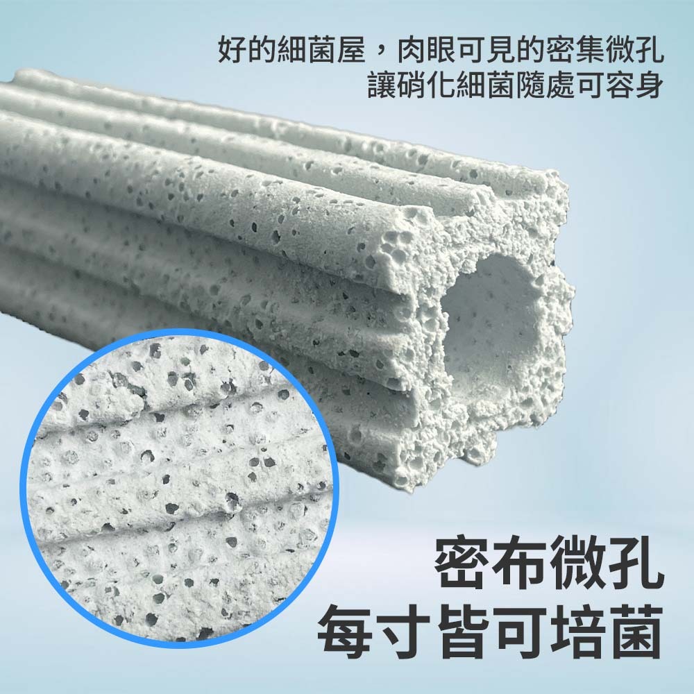 密布微孔，每寸皆可培菌