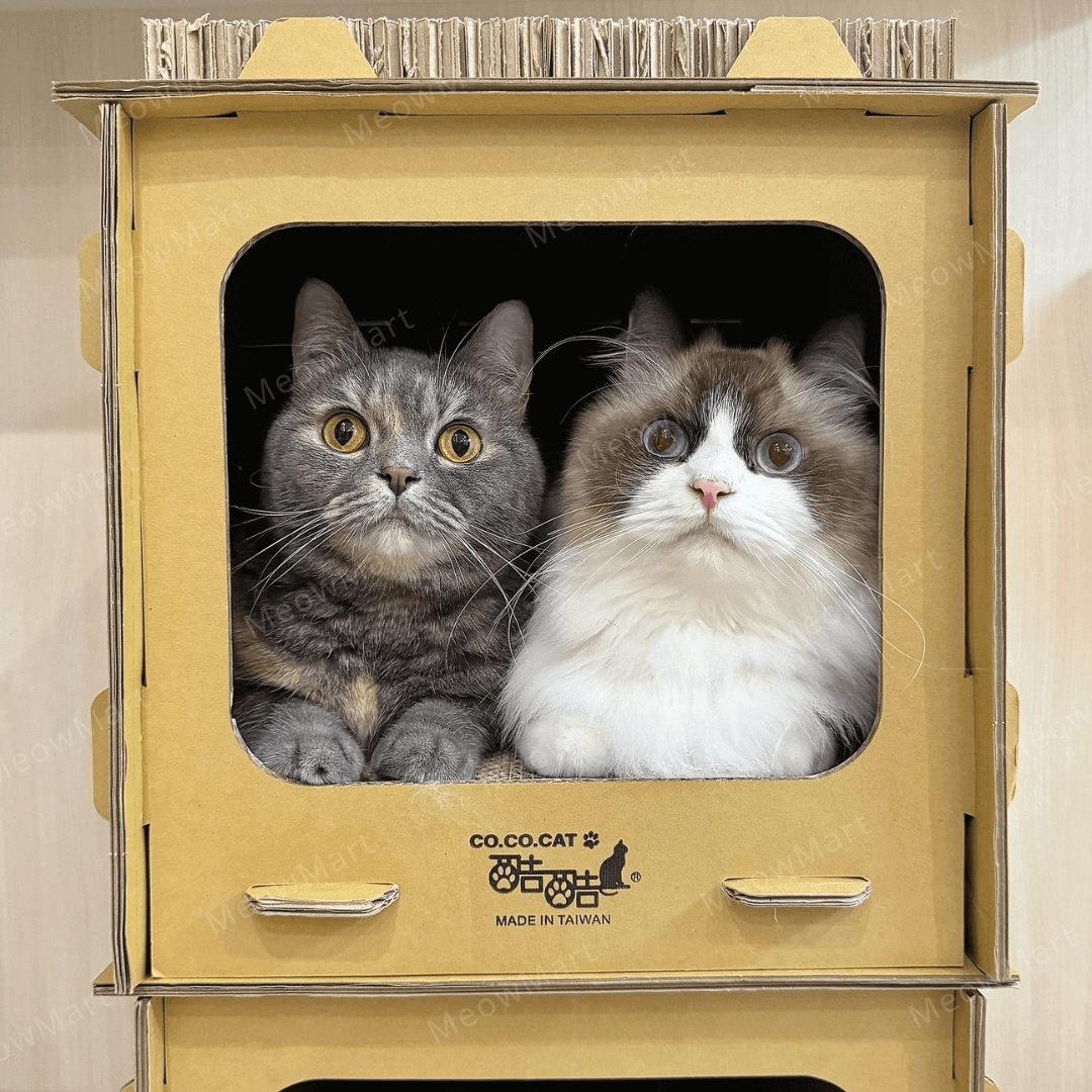 台灣CO.CO.CAT酷酷貓｜DIY貓屋貓抓板