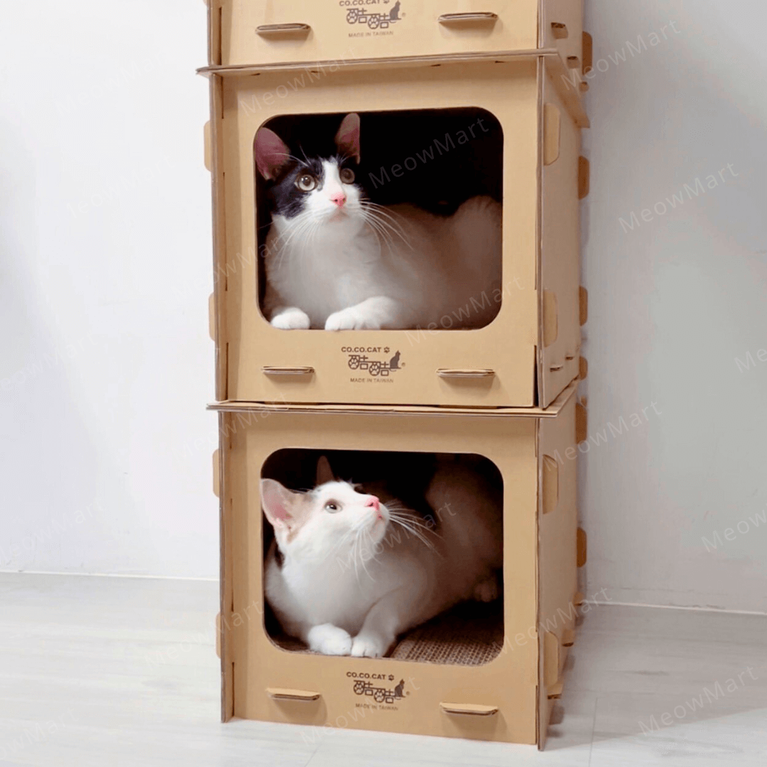 台灣CO.CO.CAT酷酷貓｜DIY貓屋貓抓板