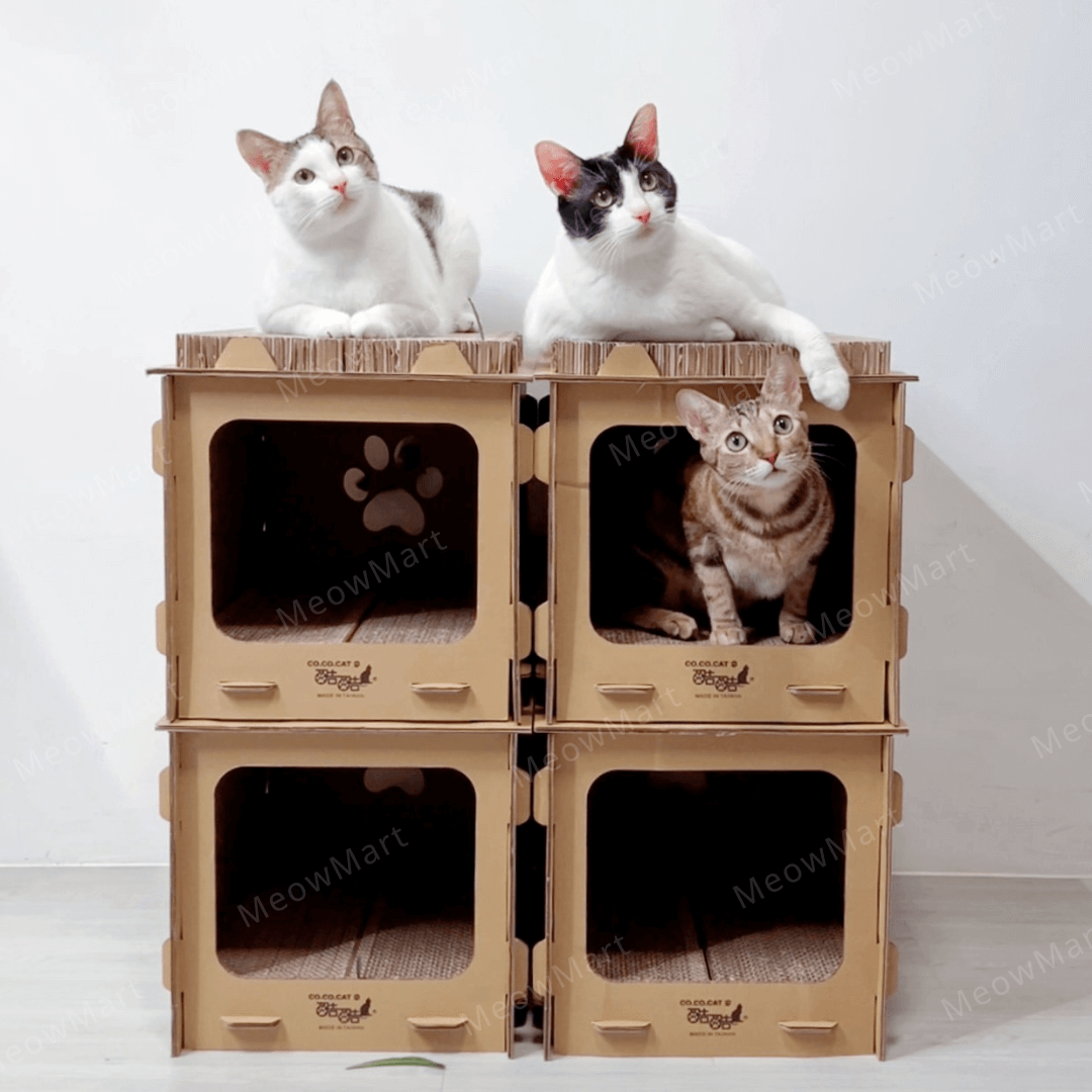 台灣CO.CO.CAT酷酷貓｜DIY貓屋貓抓板