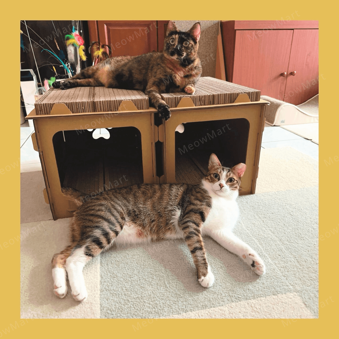 台灣CO.CO.CAT酷酷貓｜DIY貓屋貓抓板