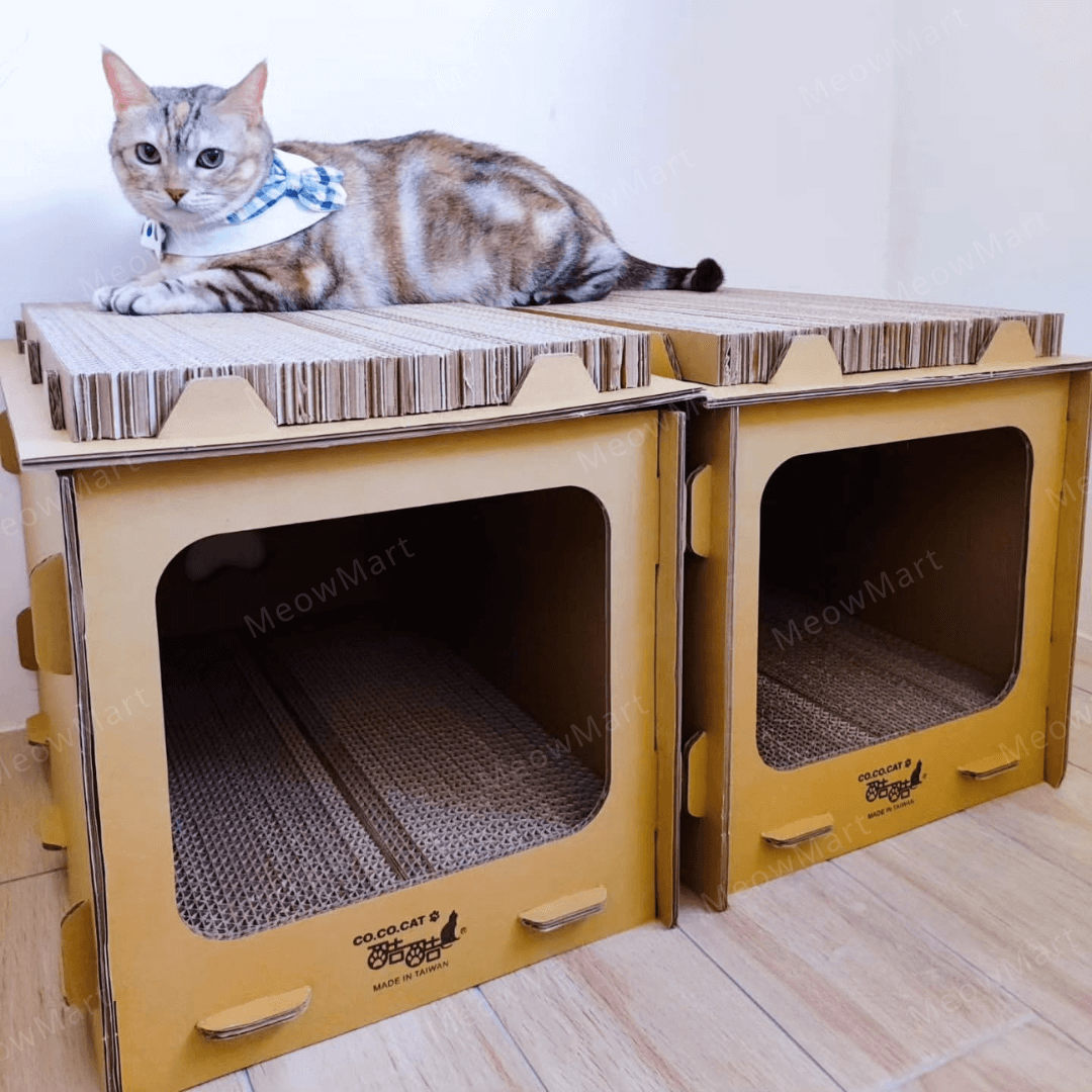 台灣CO.CO.CAT酷酷貓｜DIY貓屋貓抓板
