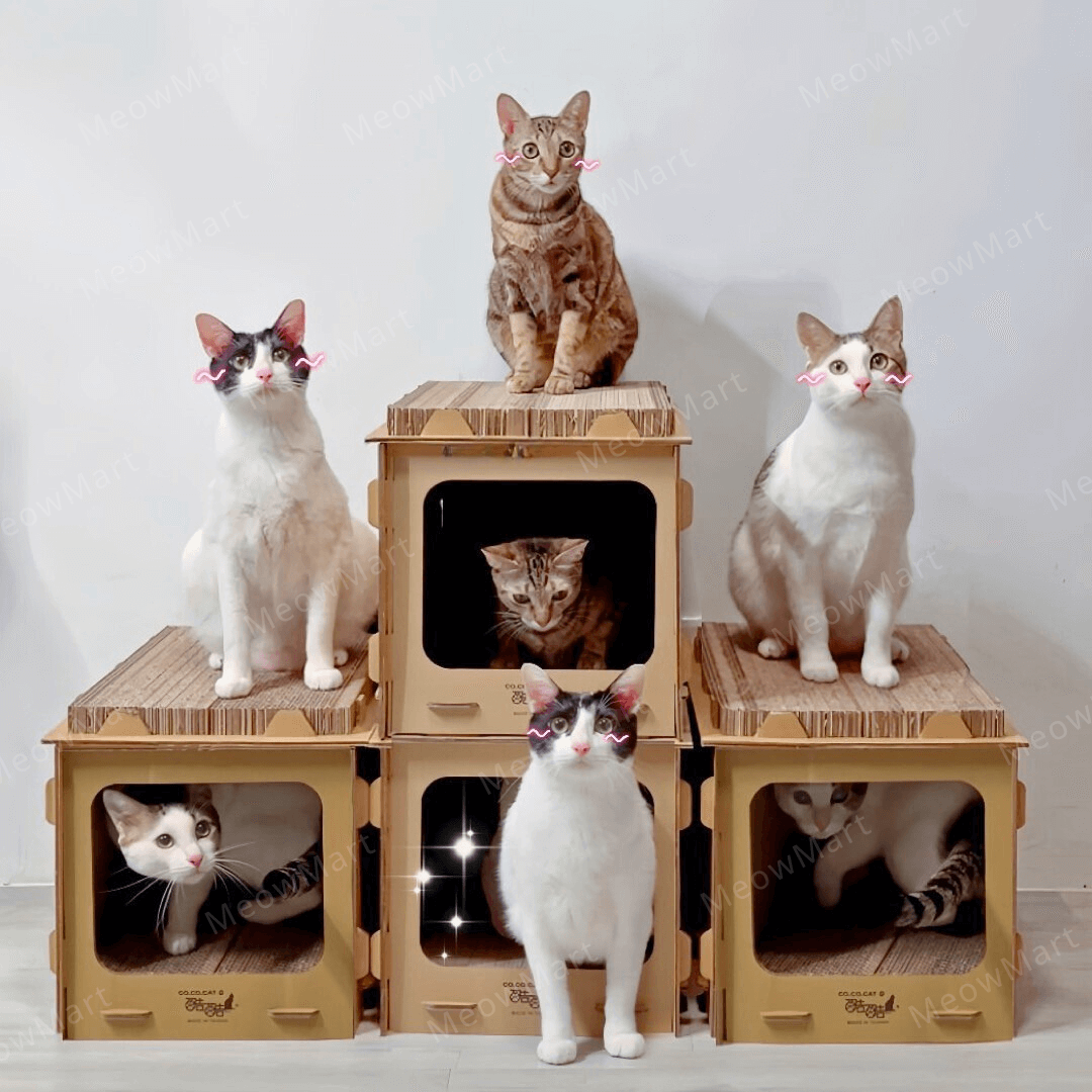 台灣CO.CO.CAT酷酷貓｜DIY貓屋貓抓板