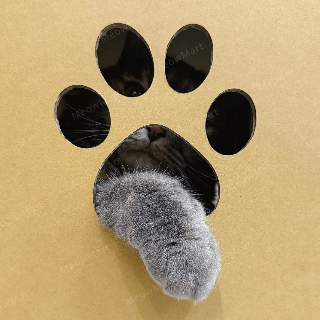 台灣CO.CO.CAT酷酷貓｜DIY貓屋貓抓板