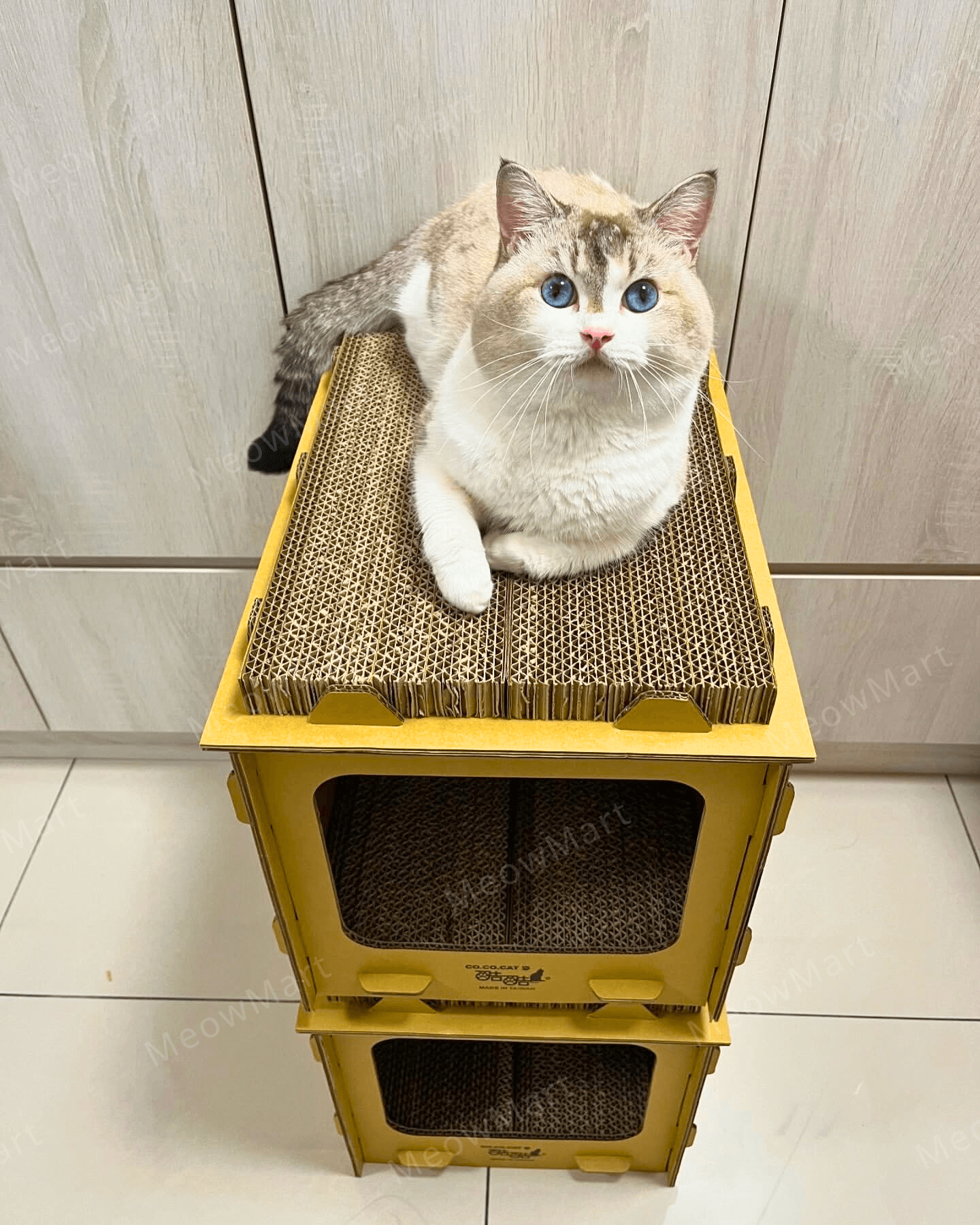 台灣CO.CO.CAT酷酷貓｜DIY貓屋貓抓板