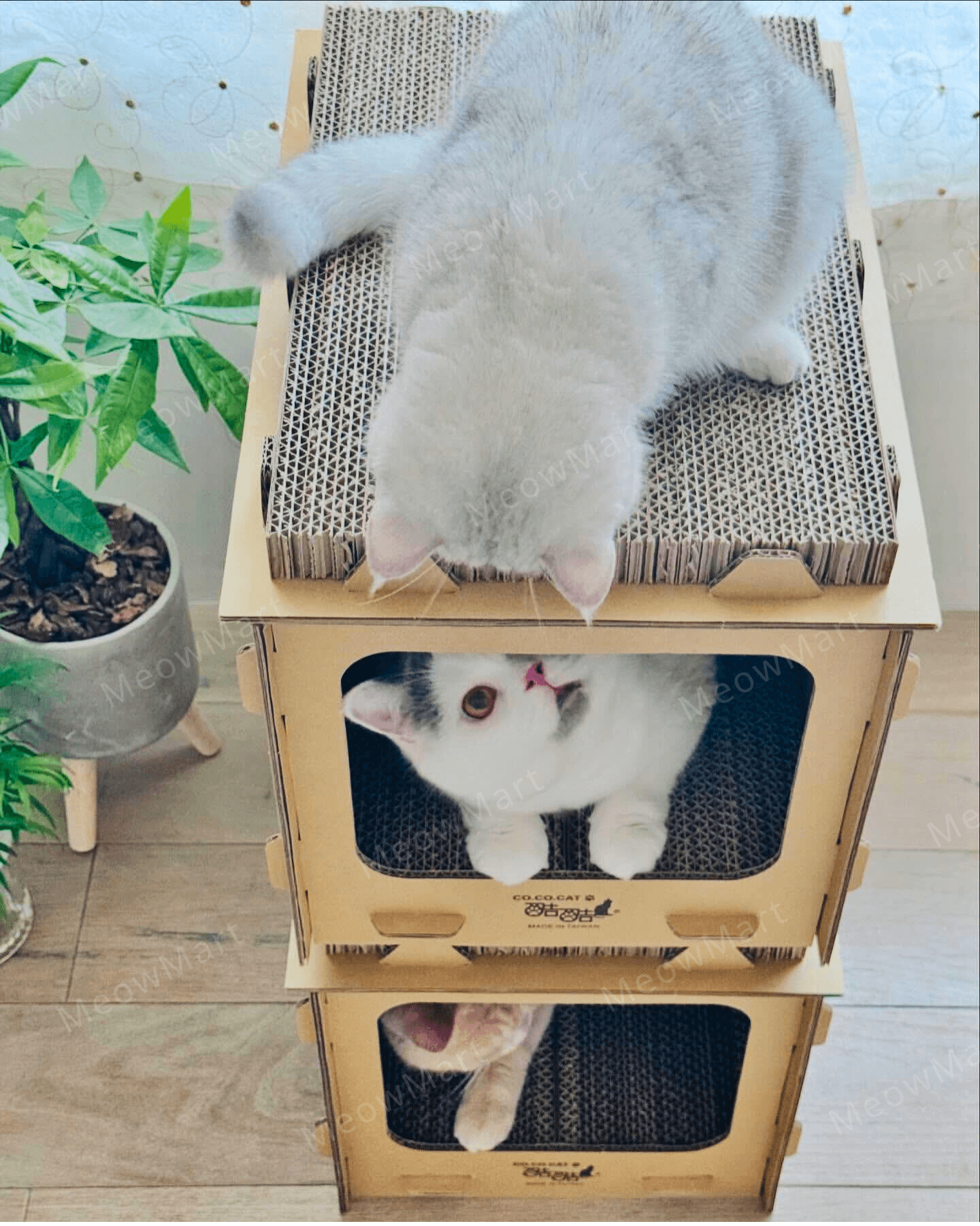 台灣CO.CO.CAT酷酷貓｜DIY貓屋貓抓板
