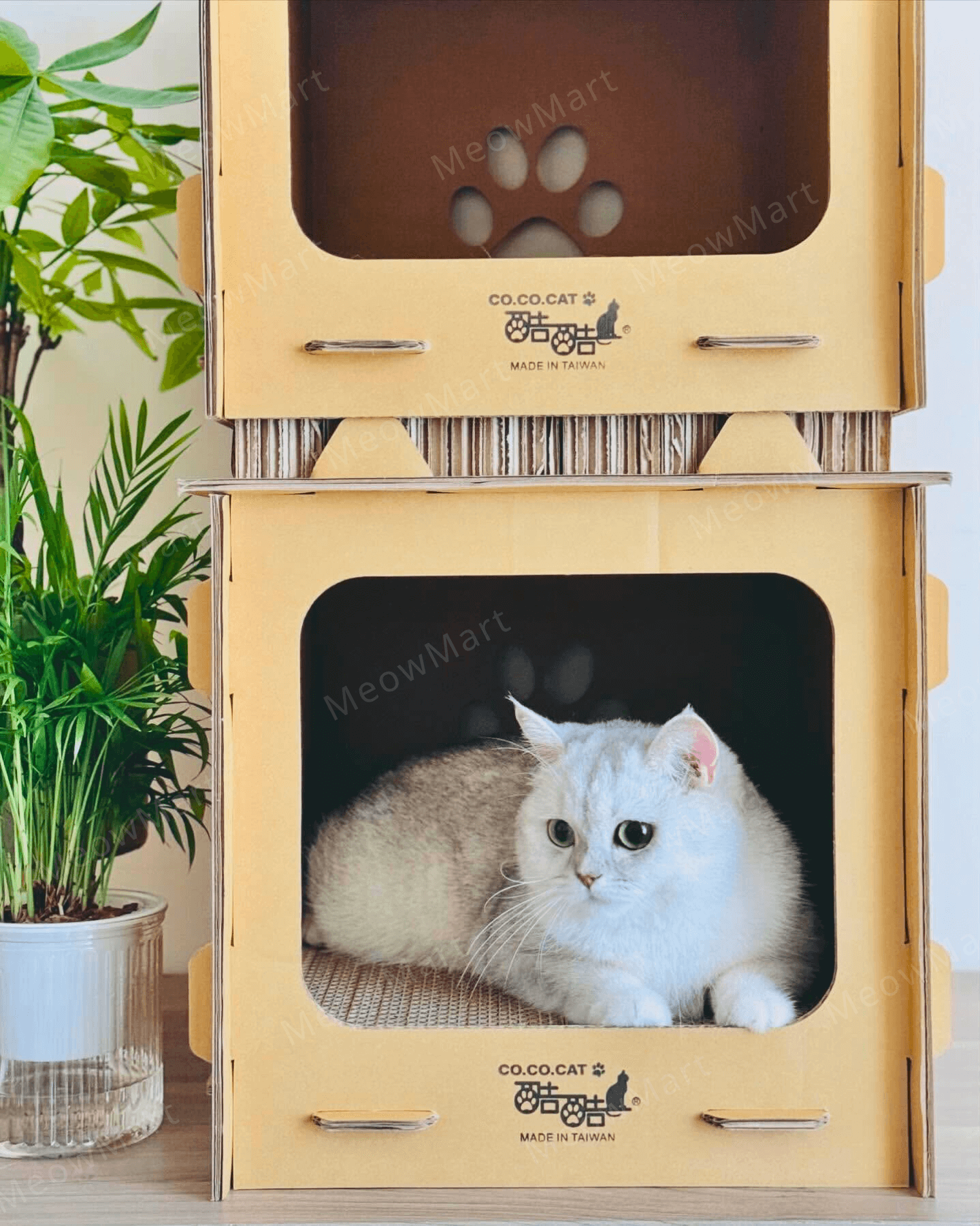 台灣CO.CO.CAT酷酷貓｜DIY貓屋貓抓板