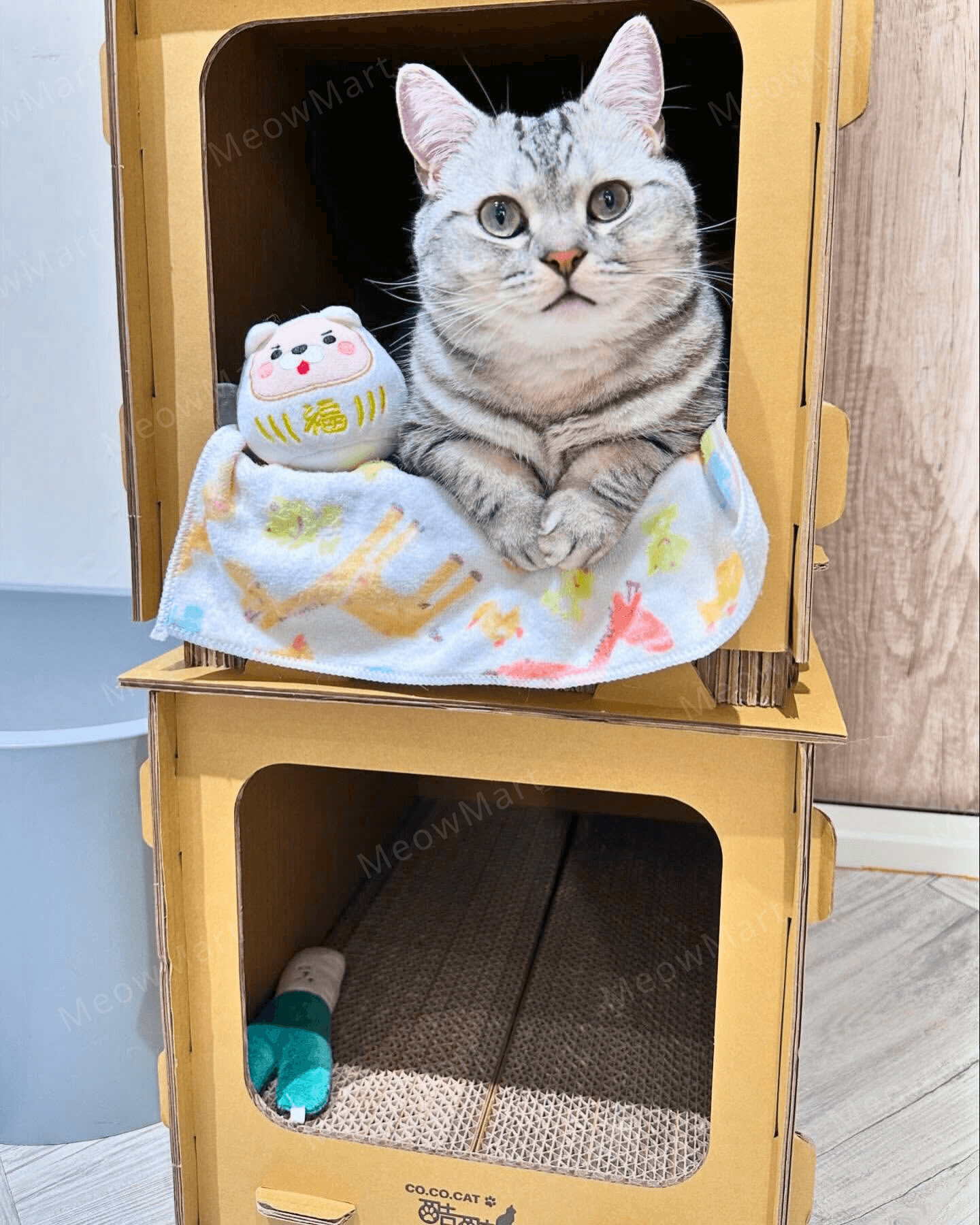 台灣CO.CO.CAT酷酷貓｜DIY貓屋貓抓板