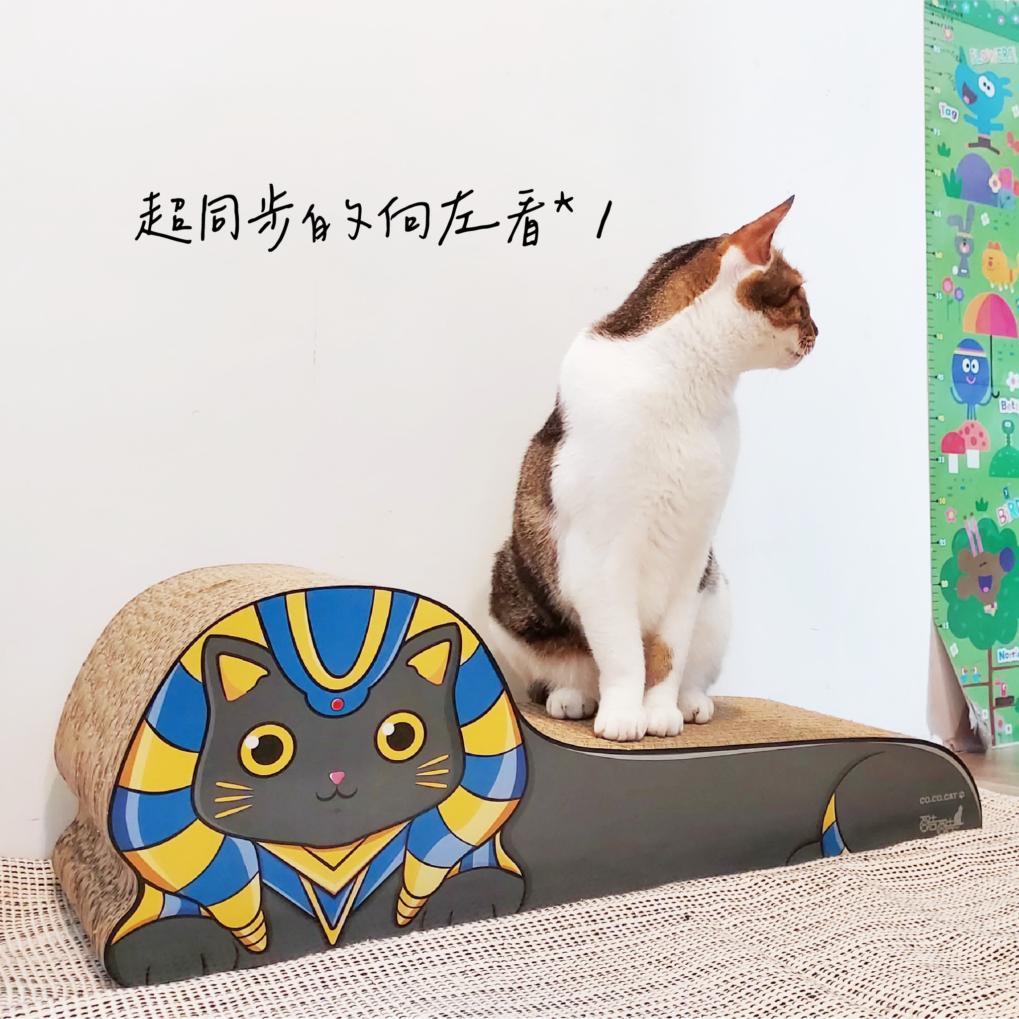 台灣CO.CO.CAT酷酷貓｜埃及貓貓抓板