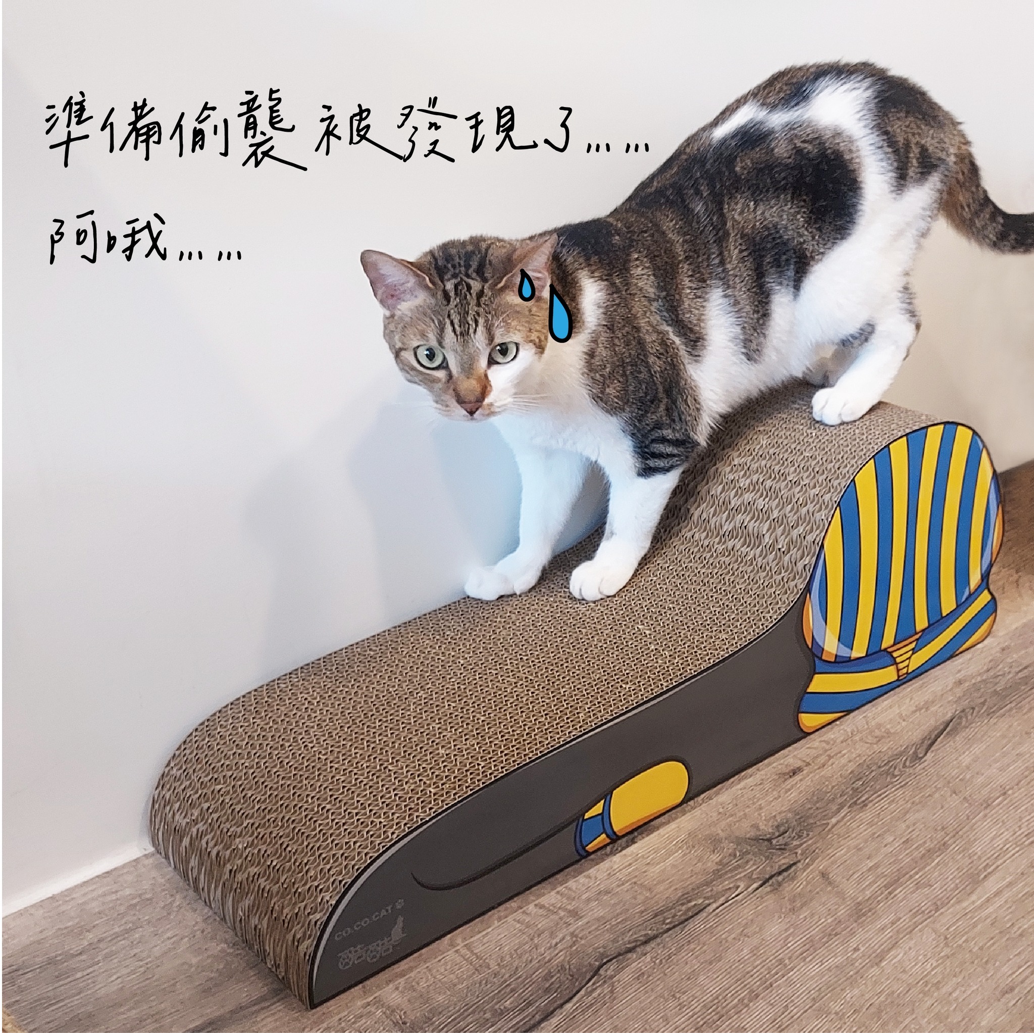 台灣CO.CO.CAT酷酷貓｜埃及貓貓抓板