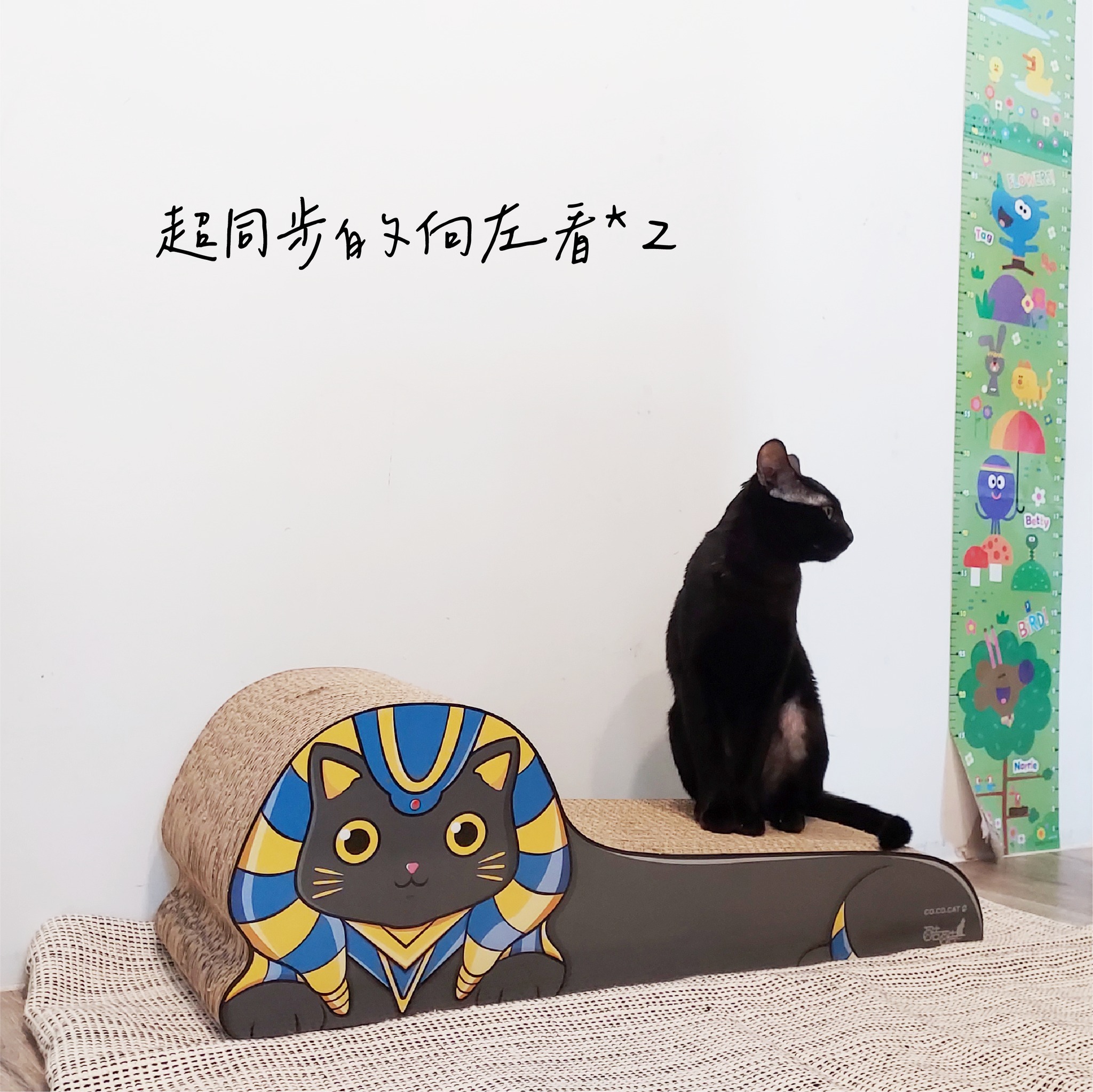 台灣CO.CO.CAT酷酷貓｜埃及貓貓抓板