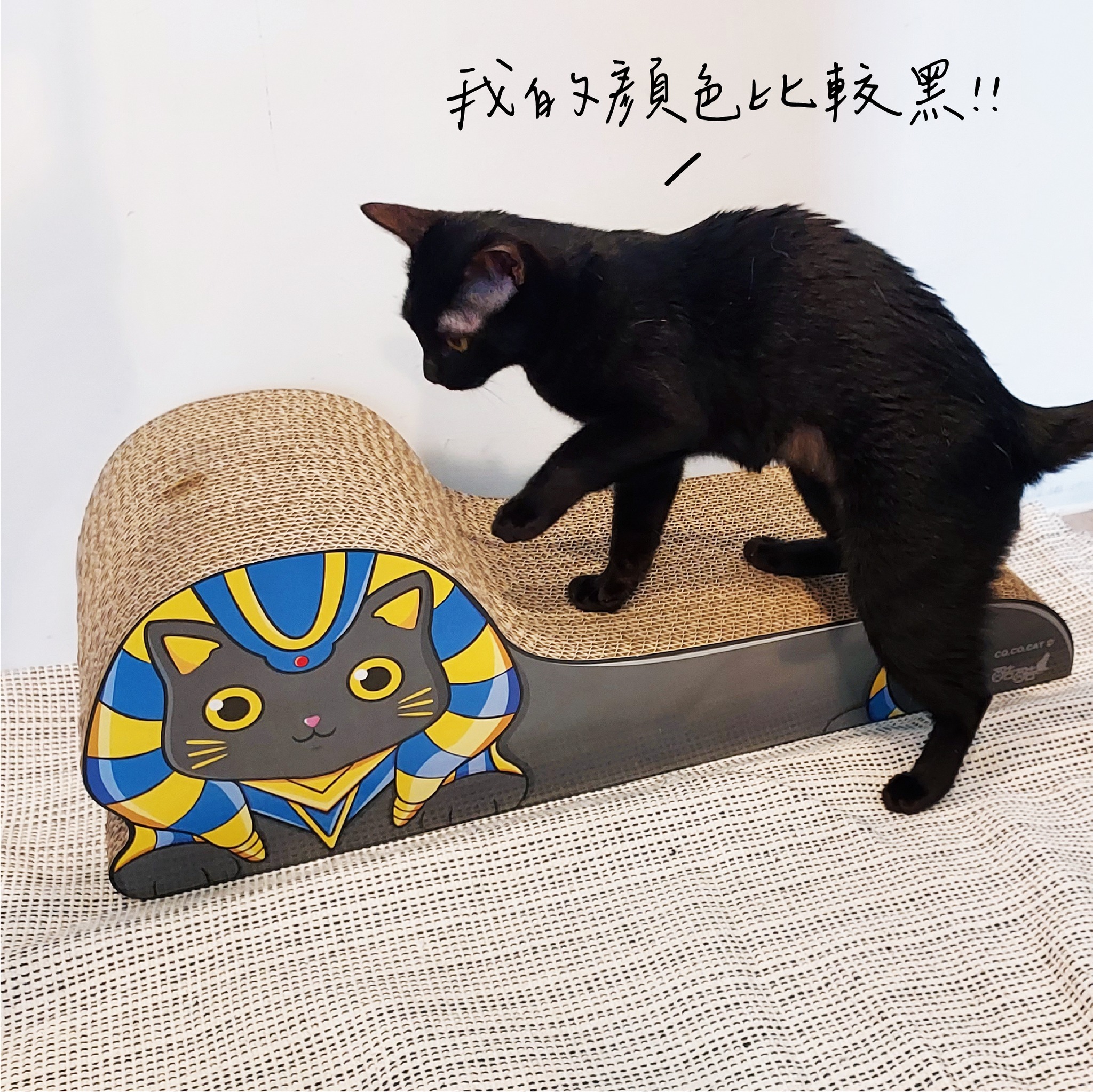 台灣CO.CO.CAT酷酷貓｜埃及貓貓抓板