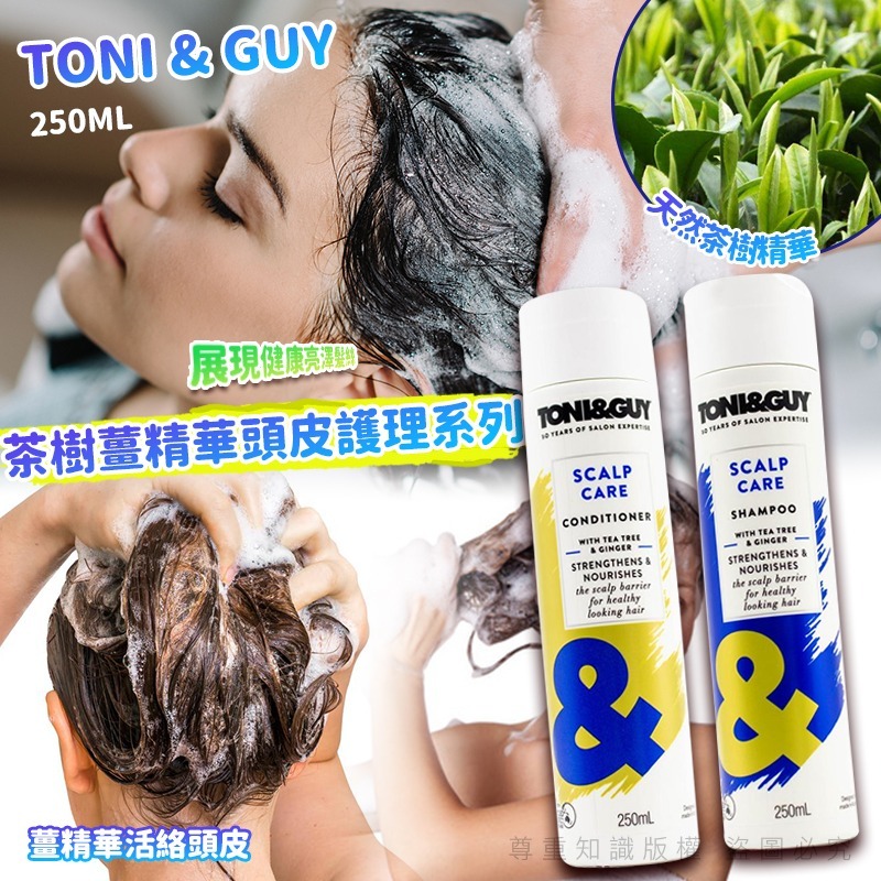 TONI & GUY 茶樹薑精華頭皮護理系列