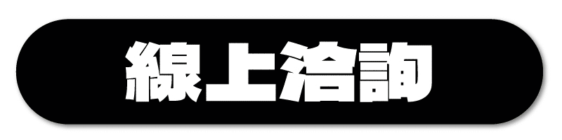 CyberCycle賽博旋風 Rhino犀牛 胖胎車 電輔車 優惠 優缺點 線上洽詢