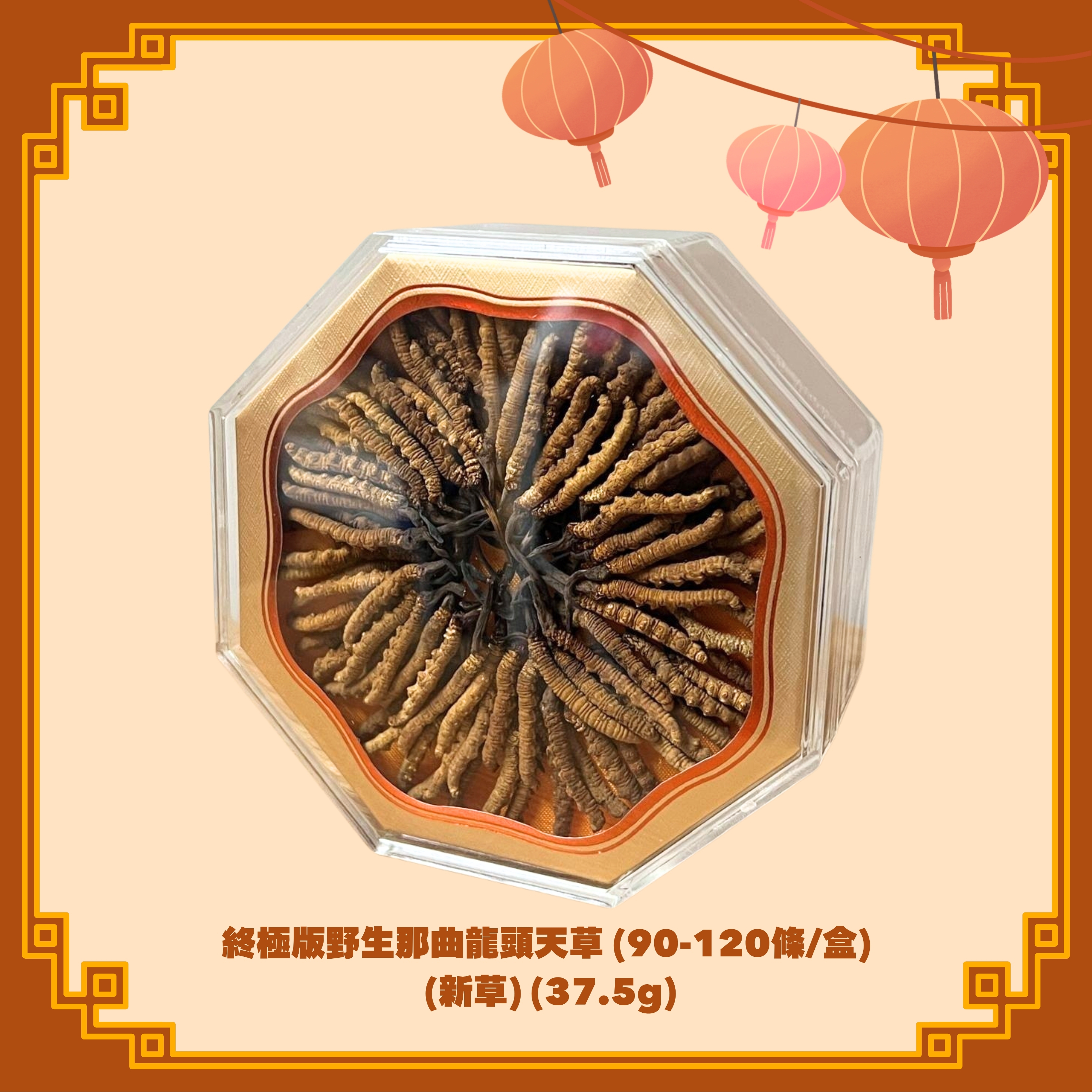 終極版野生那曲龍頭天草 (90-120條/盒) (37.5g) - 2款選擇 (H3-4)