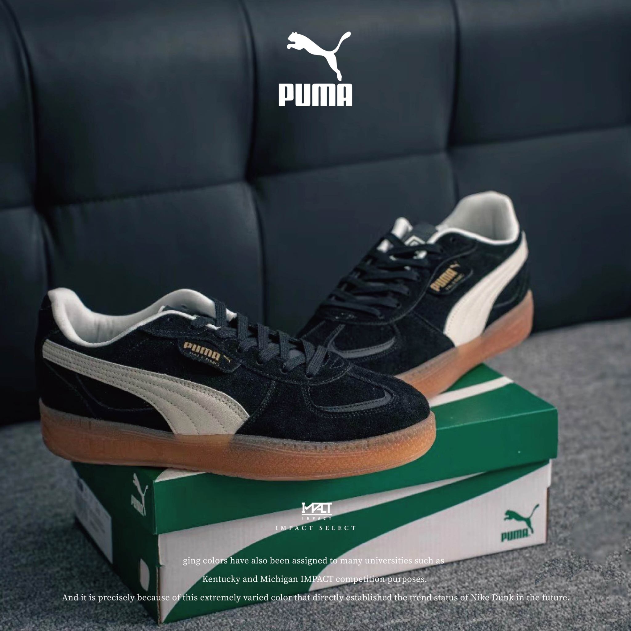 PUMA PALERMO MODA XTRA GUM WNS 黑色 麂皮 焦糖 厚底 400323-02