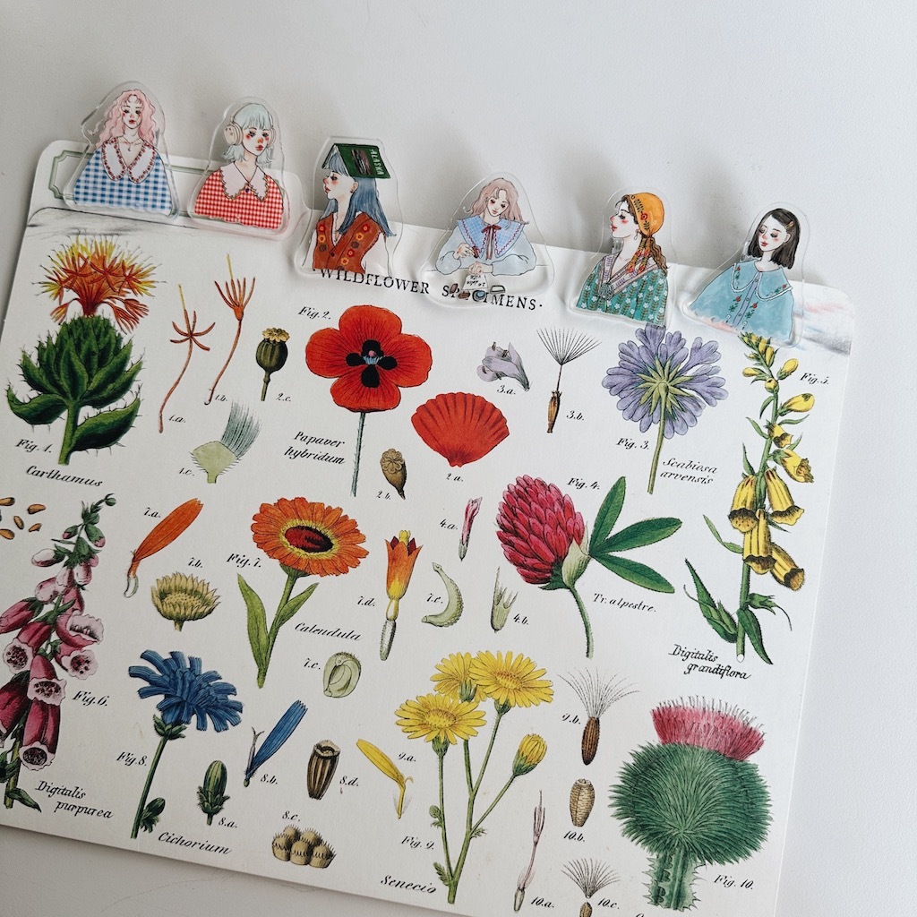 甜蜜慢旅系列 壓克力夾 六款｜甜蜜生活