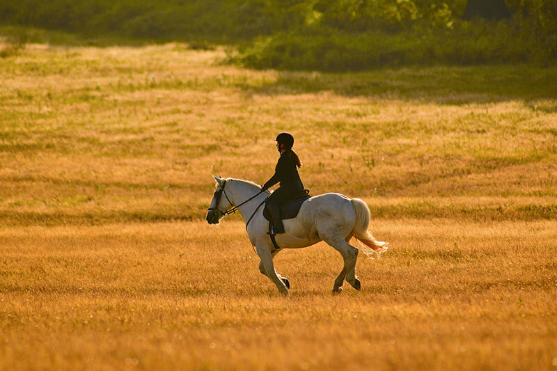 夕陽下騎著白馬奔馳的女子，象徵馬年吉祥話中「馬到成功、駿馬奔騰」的好寓意，傳遞奮發向前與好運連連的祝福意象。