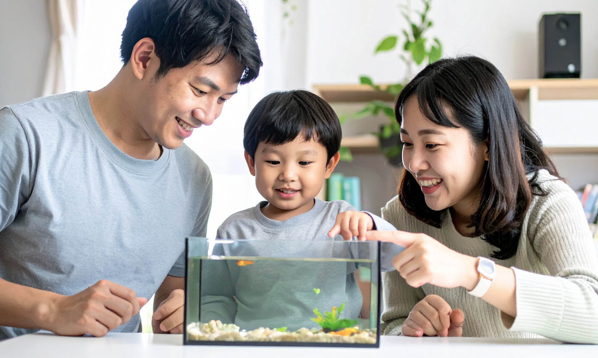 當孩子學會觀察魚兒需求、耐心等待水草生長、負責維護水質，這些品格會延伸到生活各層面