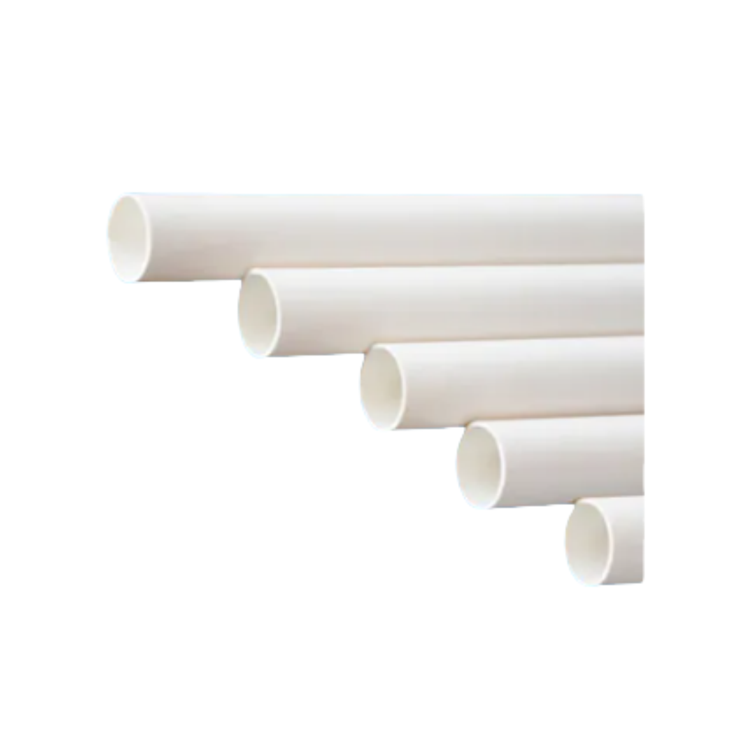 K101 "Golden lion "  BS6099  (2.92米) (PUF020G)