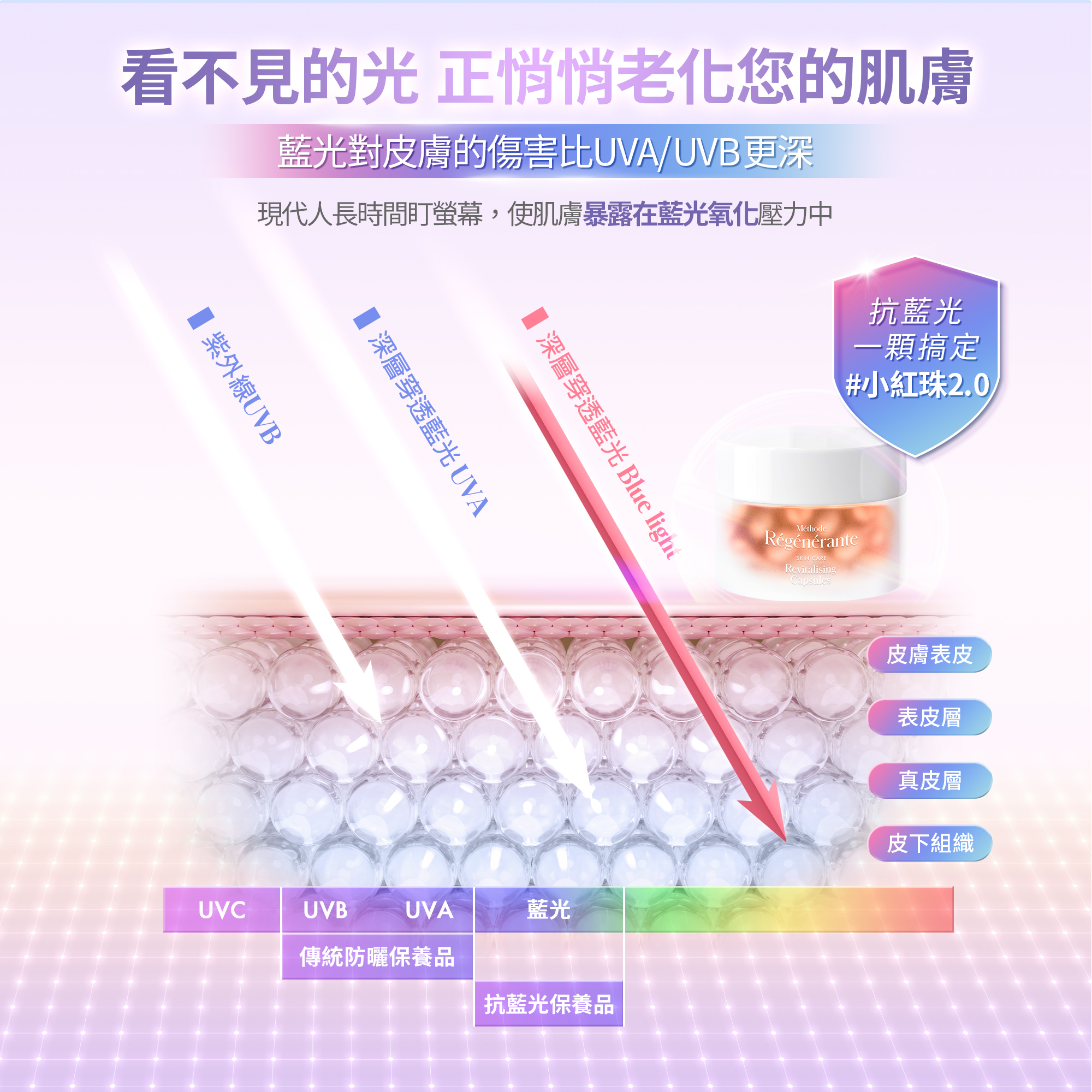 MR微導光盾肌活膠囊