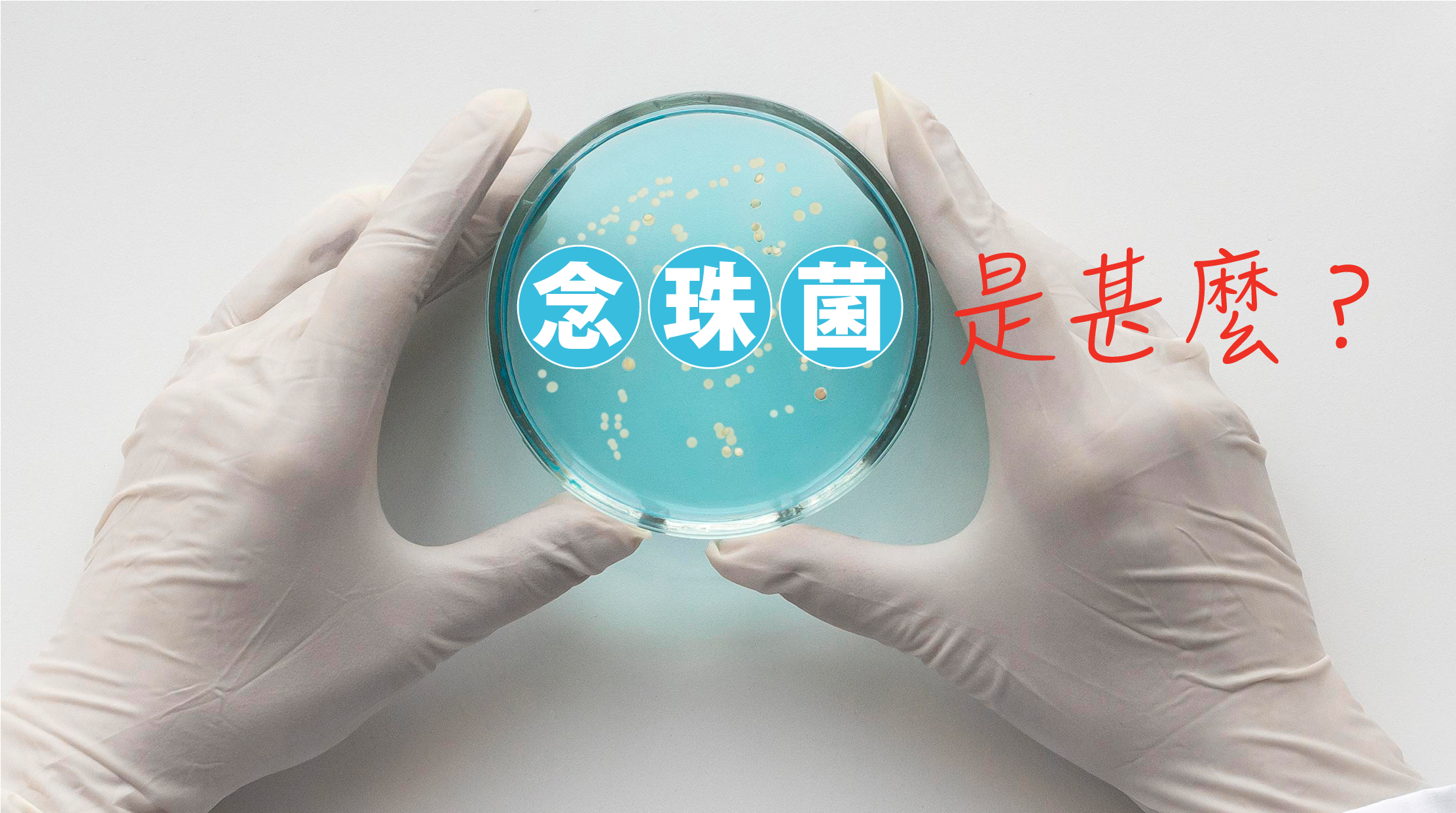 想要遠離這種困擾，先了解它是什麼、怎麼預防，才能真正守護私密健康。    1. 🦠念珠菌是甚麼？念珠菌是一種真菌，平時就存在於口腔、皮膚、腸道和陰道等黏膜部位。正常  情況下，它與身體和平共處。但當免疫力下降、酸鹼值失衡或荷爾蒙改變時，  它就會大量繁殖，引起感染。