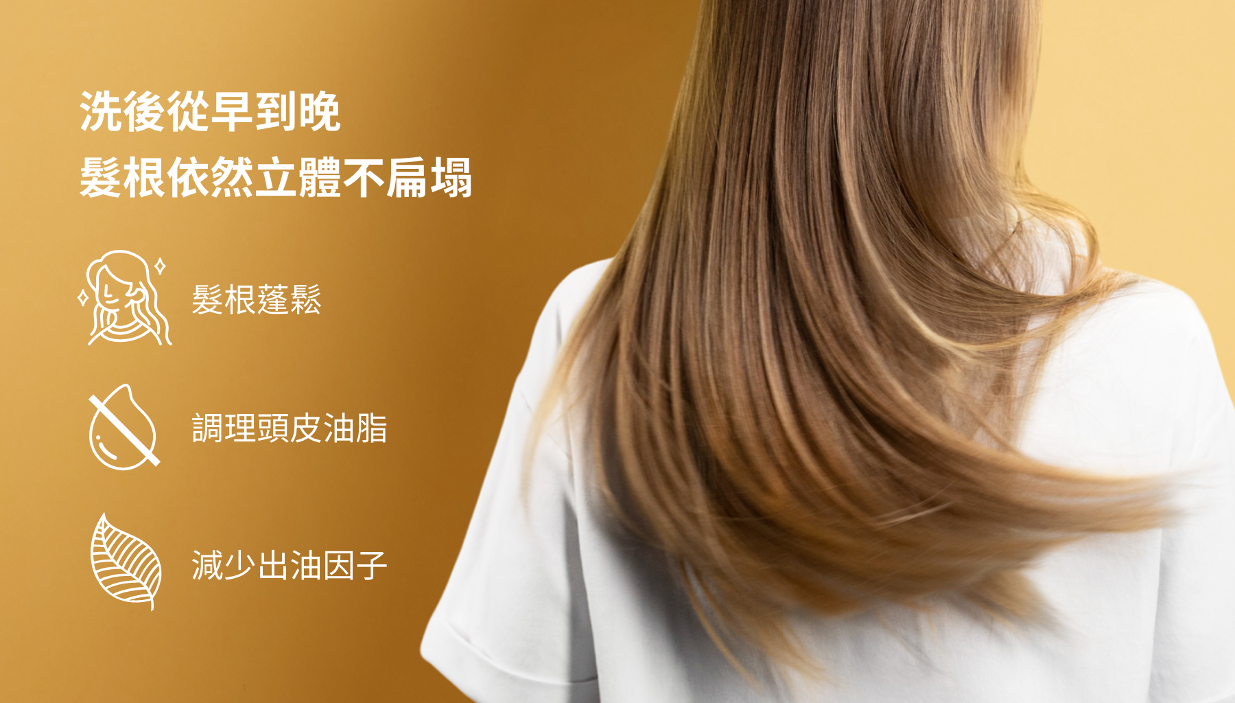 從早到晚髮根依然立體不扁塌