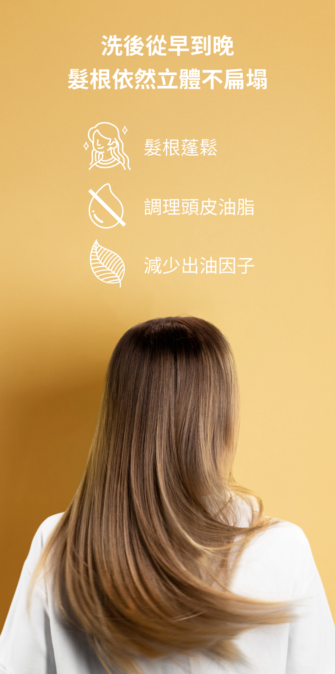 從早到晚髮根依然立體不扁塌