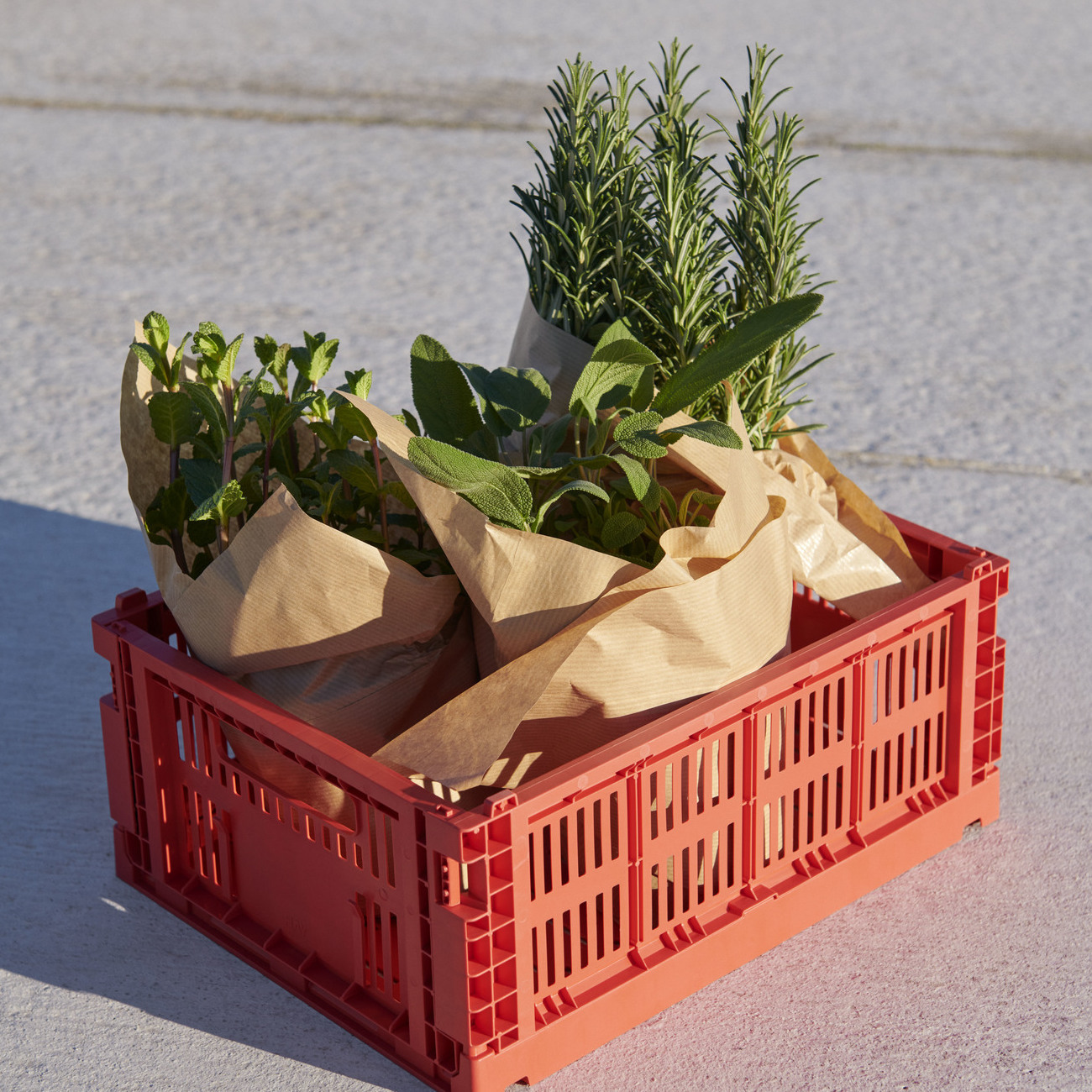 HAY Colour Crate M / 收納籃