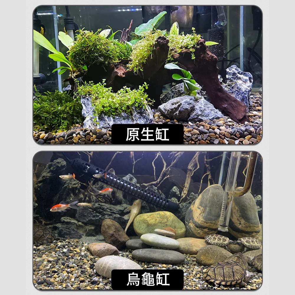 使用川藏砂能促進魚的色彩鮮豔度,讓魚隻更加亮眼動人。搭配水草造景,營造出既自然又充滿生氣的水族箱環境,是養魚愛好者的理想選擇