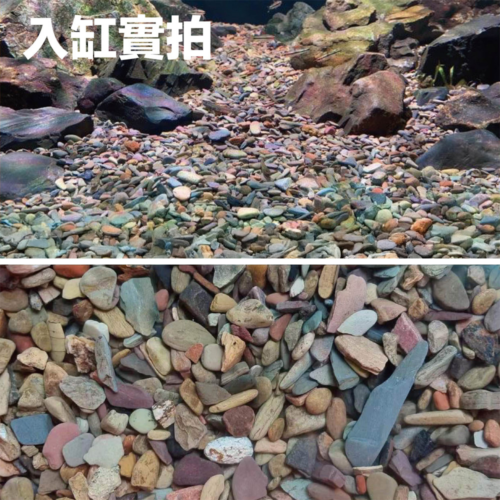 川藏砂砂粒角度柔和圓潤，不會傷害魚的鱗片和身體，適合各種魚種。砂色自然，且顏色變化豐富百看不膩，是水草及魚缸造景的最佳選擇