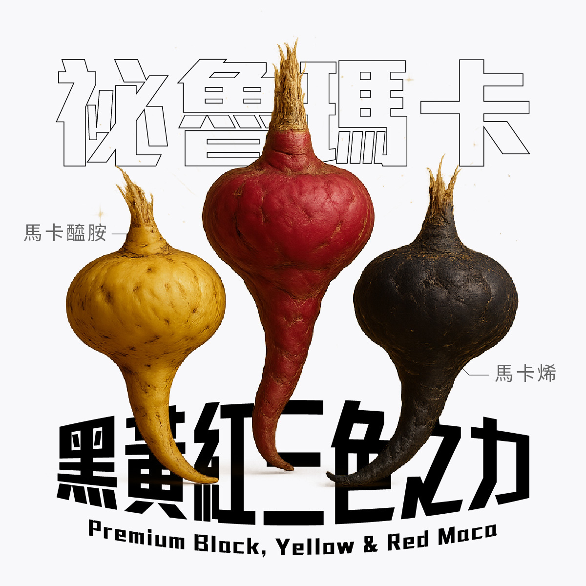 黑瑪卡、紅馬卡、黃瑪卡，三色瑪卡之力