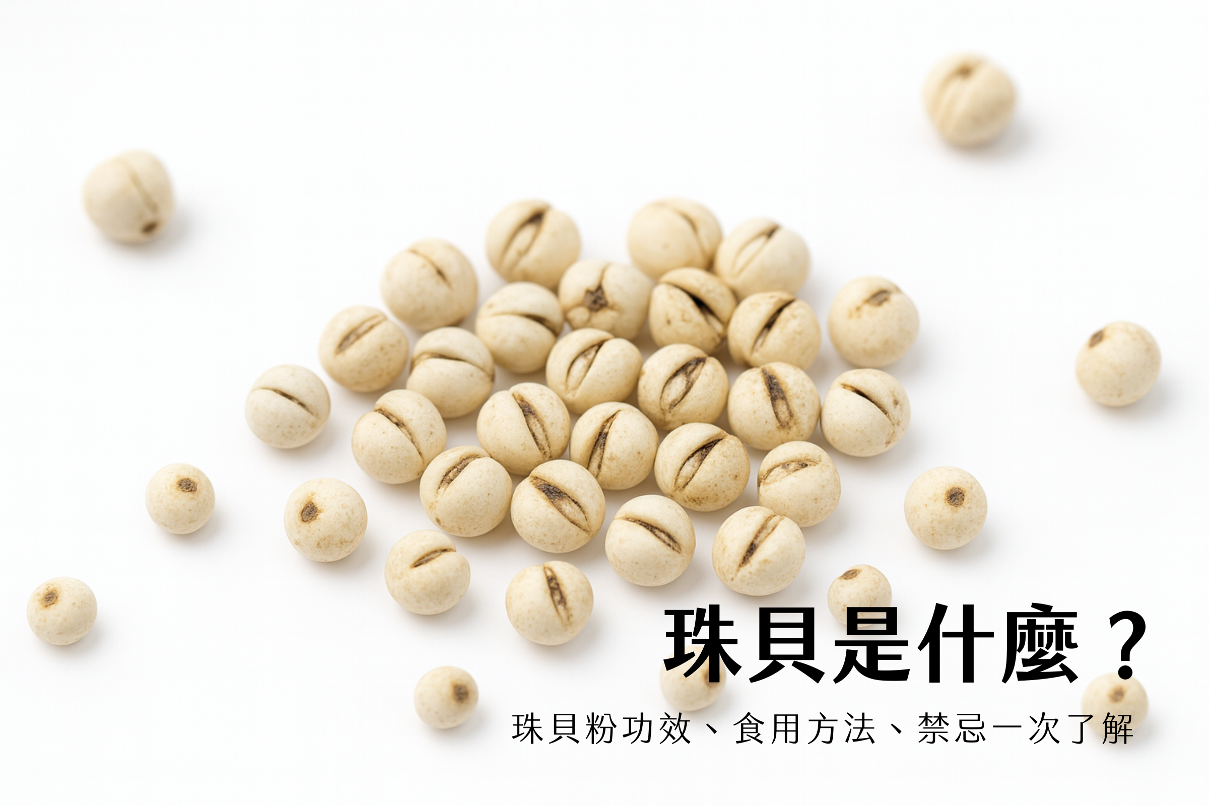 珠貝是什麼？珠貝粉功效、食用方法、禁忌一次了解