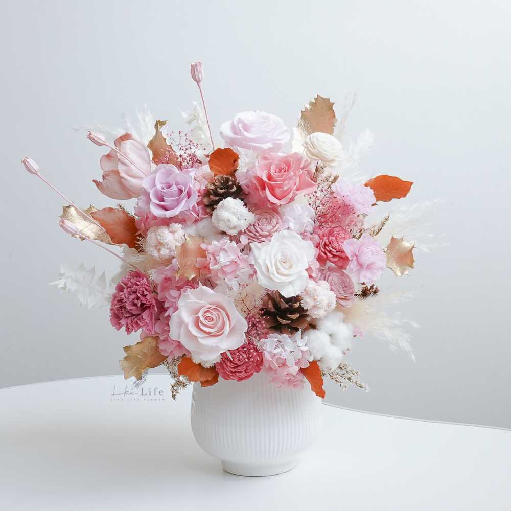 粉色永生花盆栽,大型粉色永生花盆栽,封面