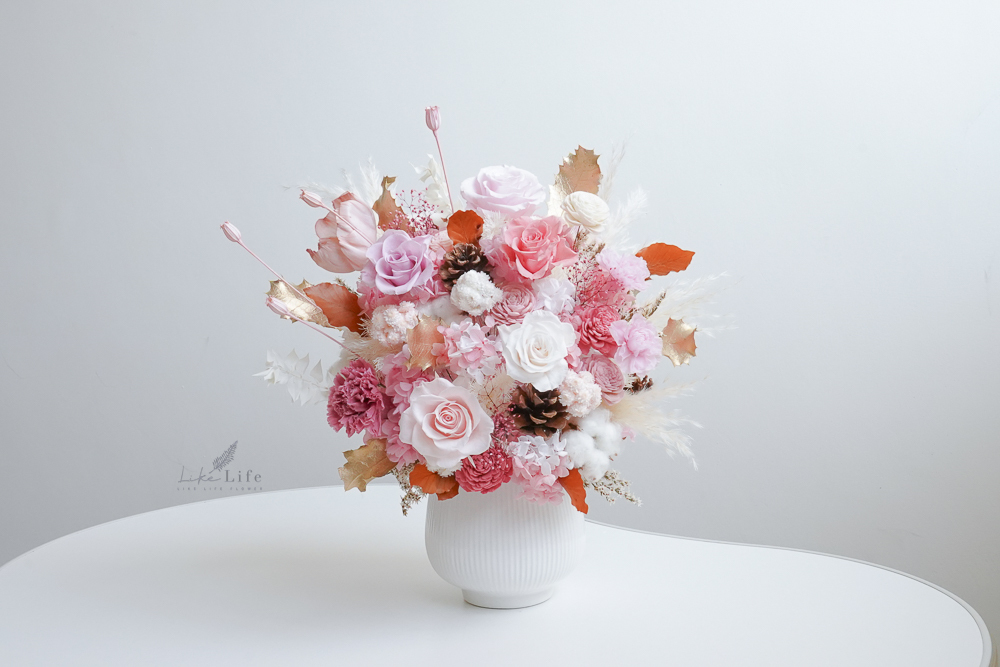 粉色永生花盆栽,大型粉色永生花盆栽,特寫