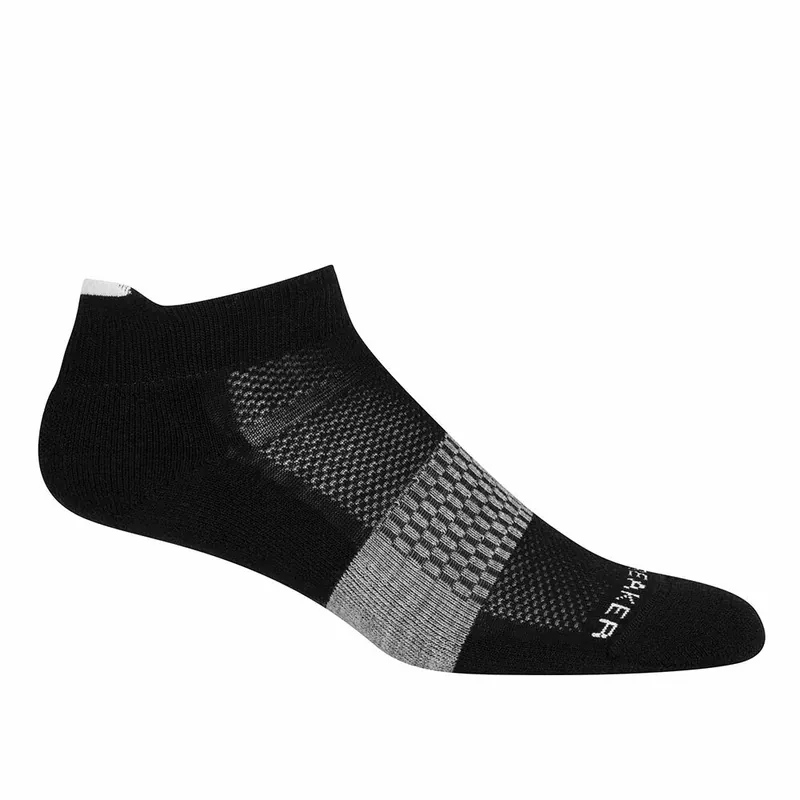 Icebreaker Multisport 女款 薄毛圈多功能運動羊毛踝襪