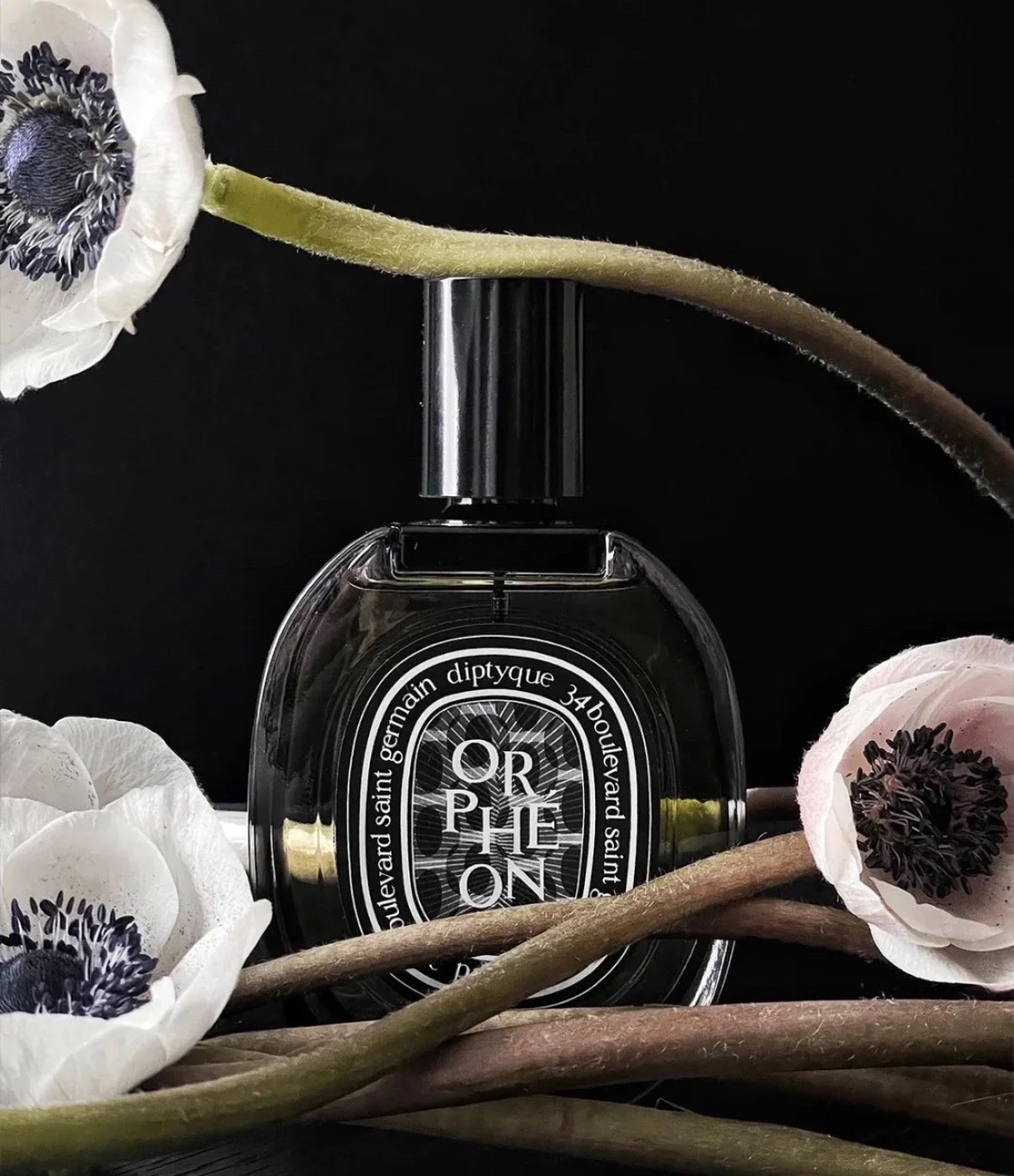 📦預購 Diptyque-Orpheon爵夢淡香精75ml