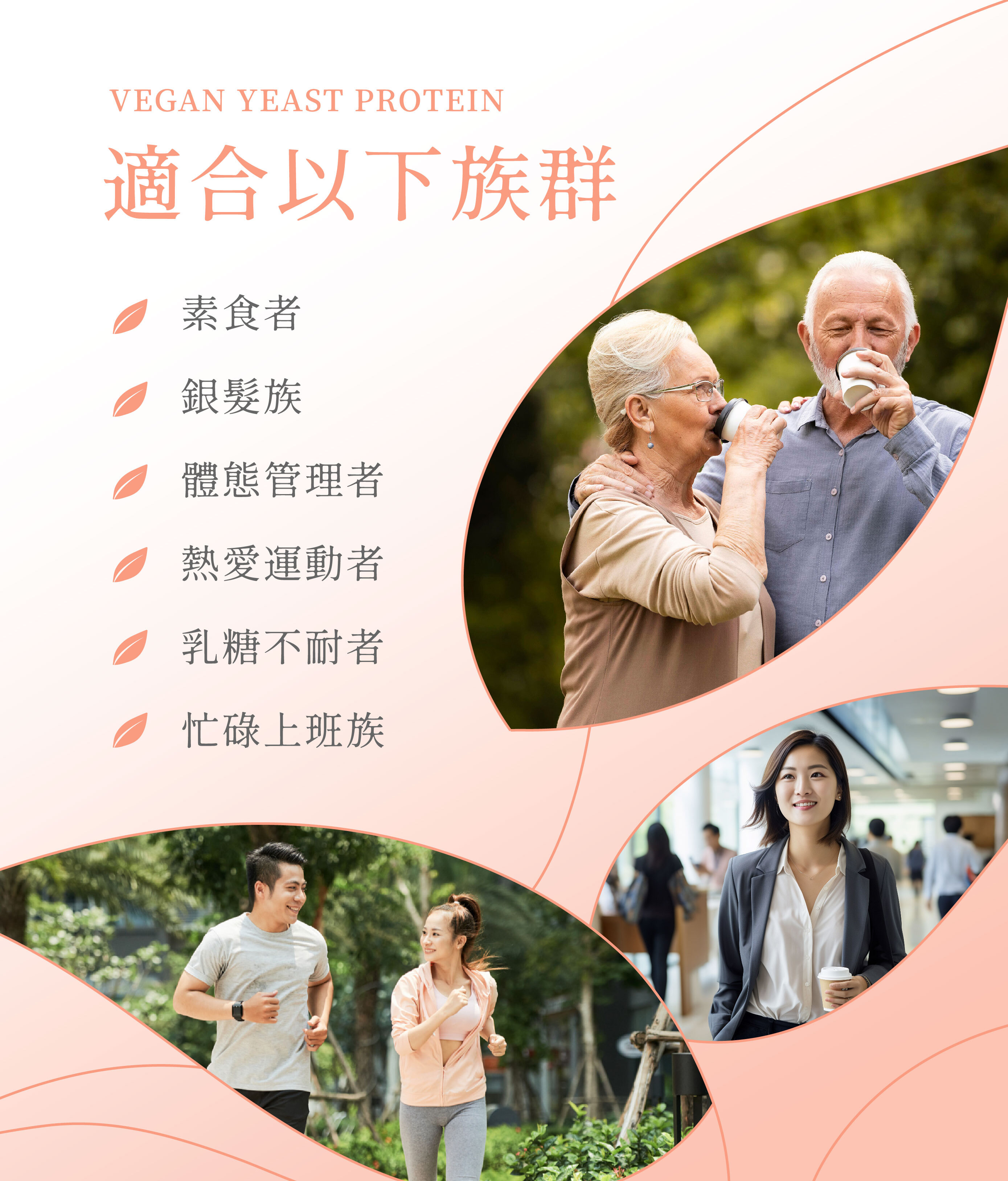 純素酵母蛋白粉