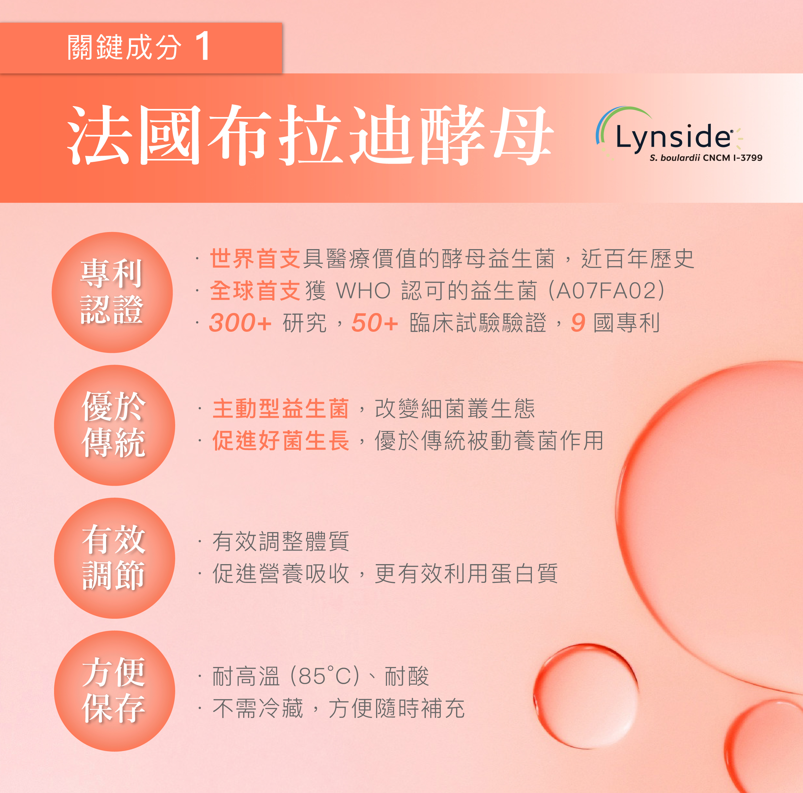 法國布拉迪酵母