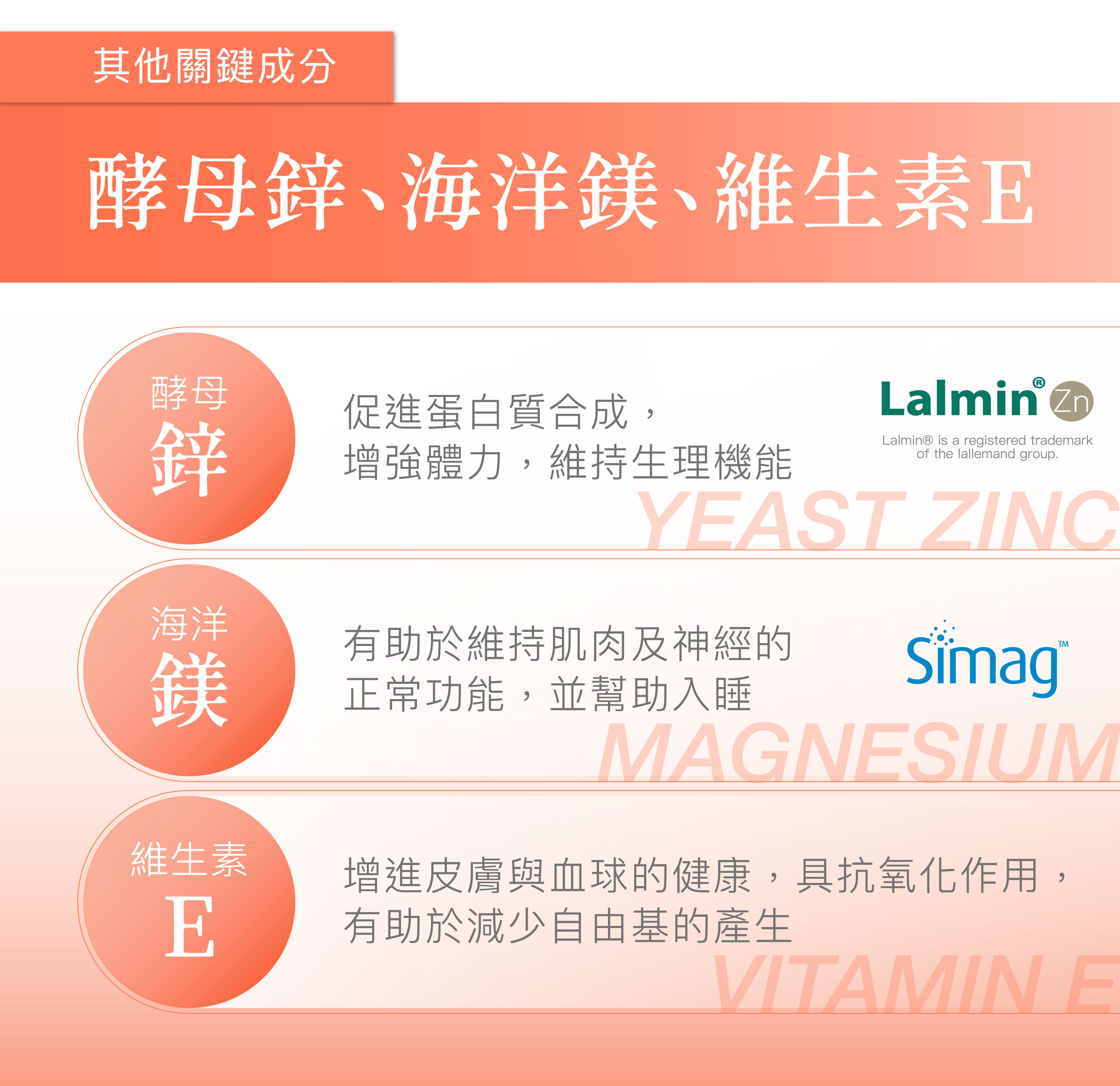 酵母鋅、海洋鎂、維生素E